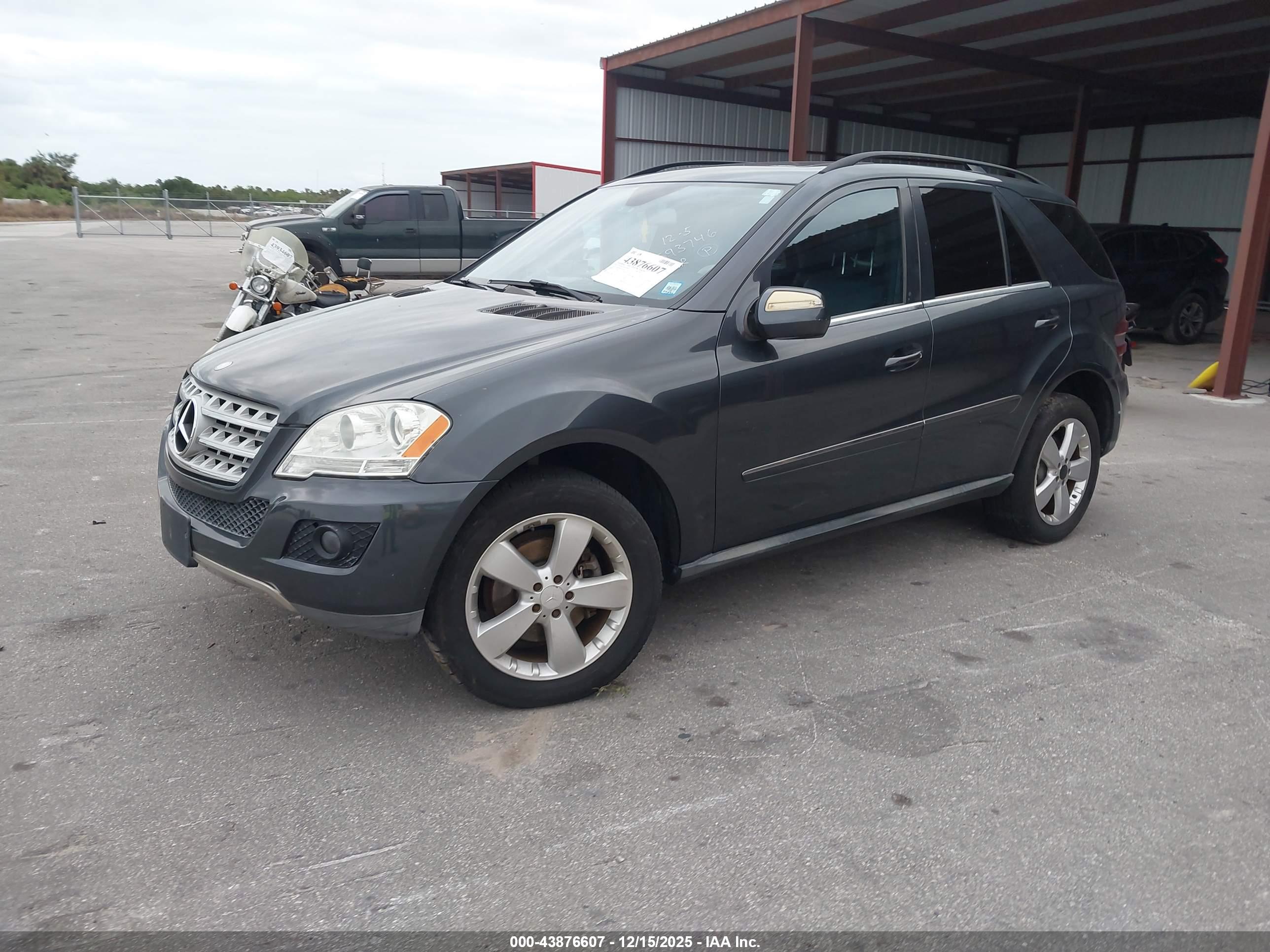 MERCEDES-BENZ ML image 2