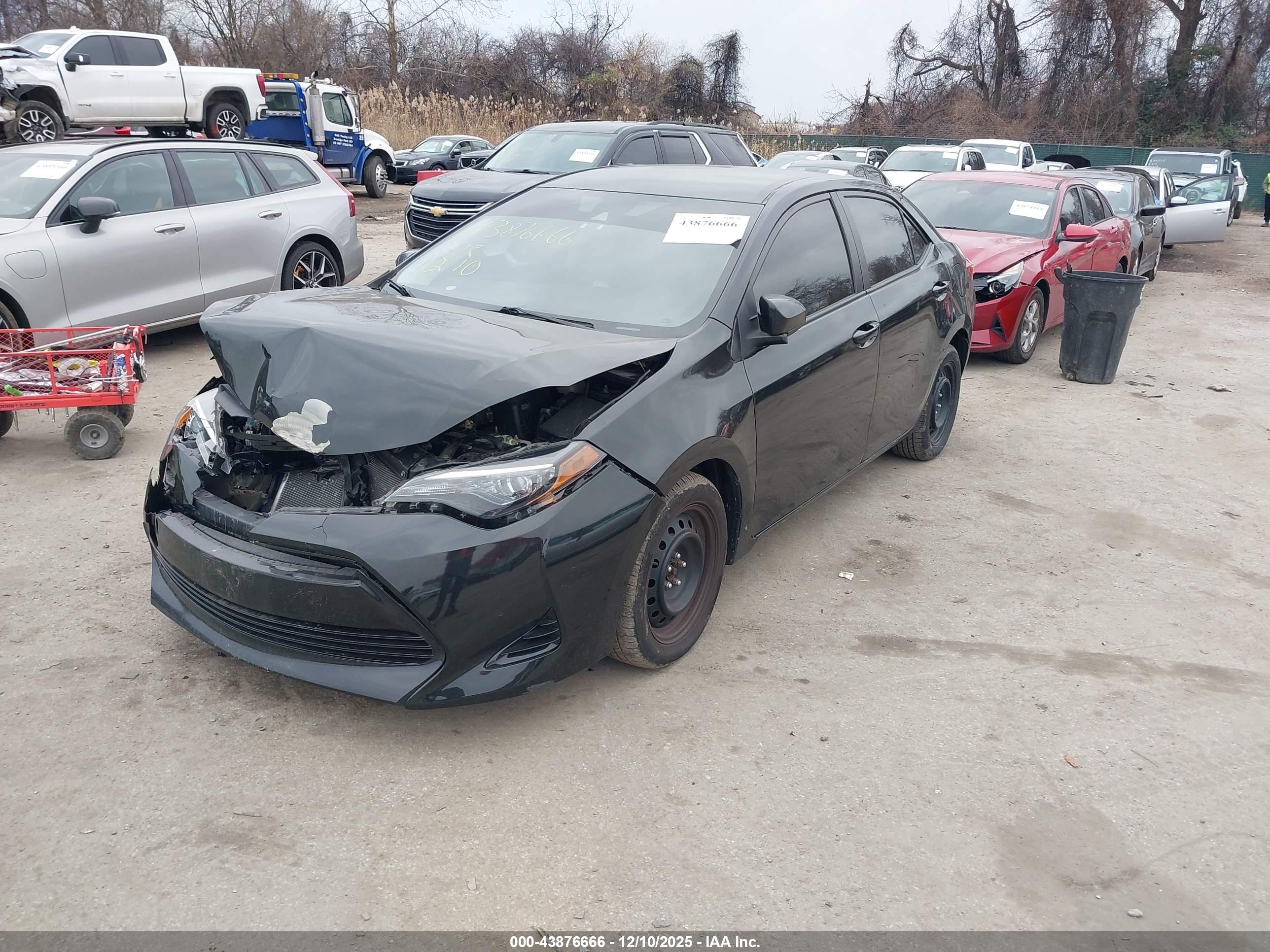 TOYOTA COROLLA image 2
