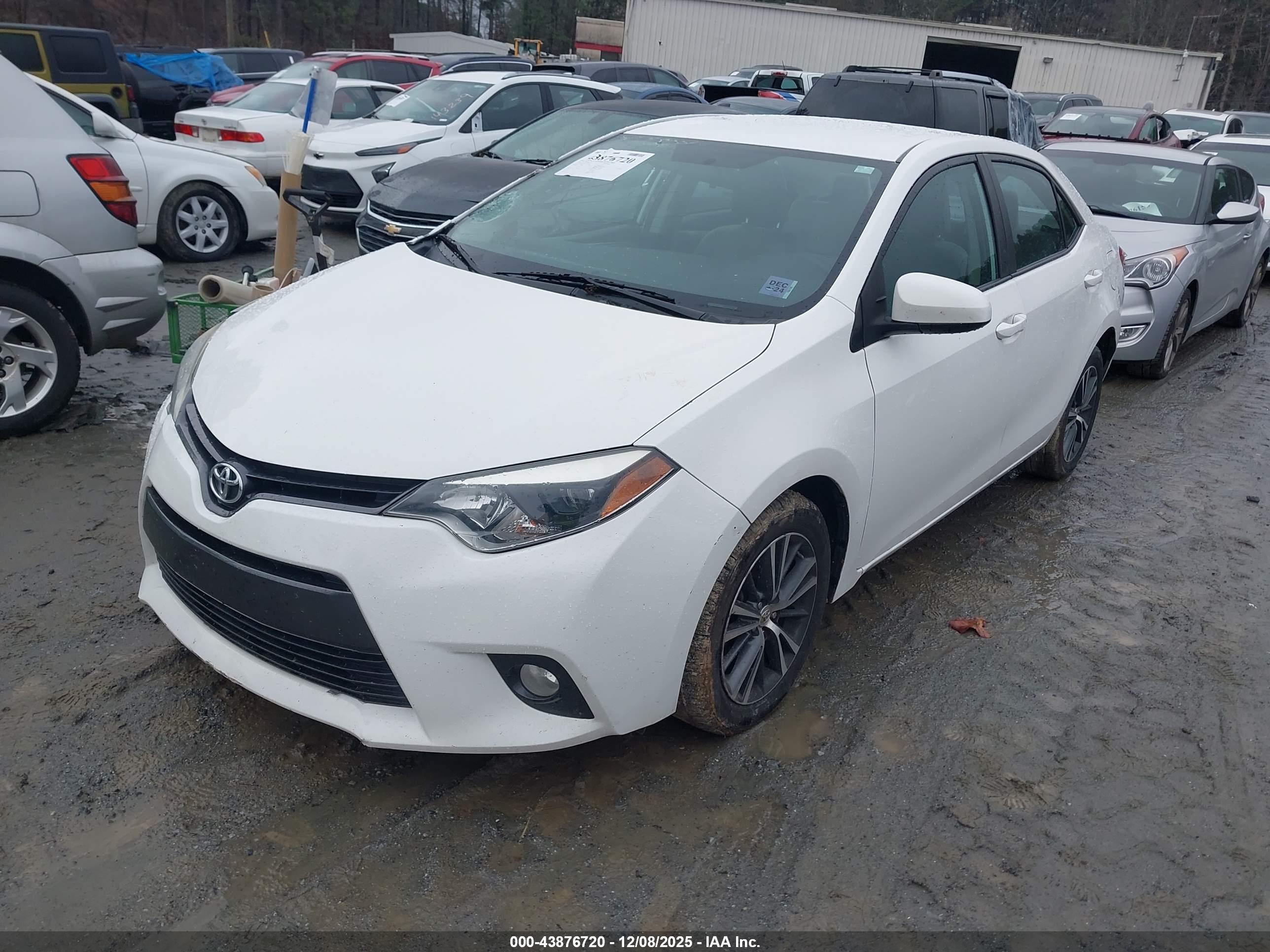 TOYOTA COROLLA image 2
