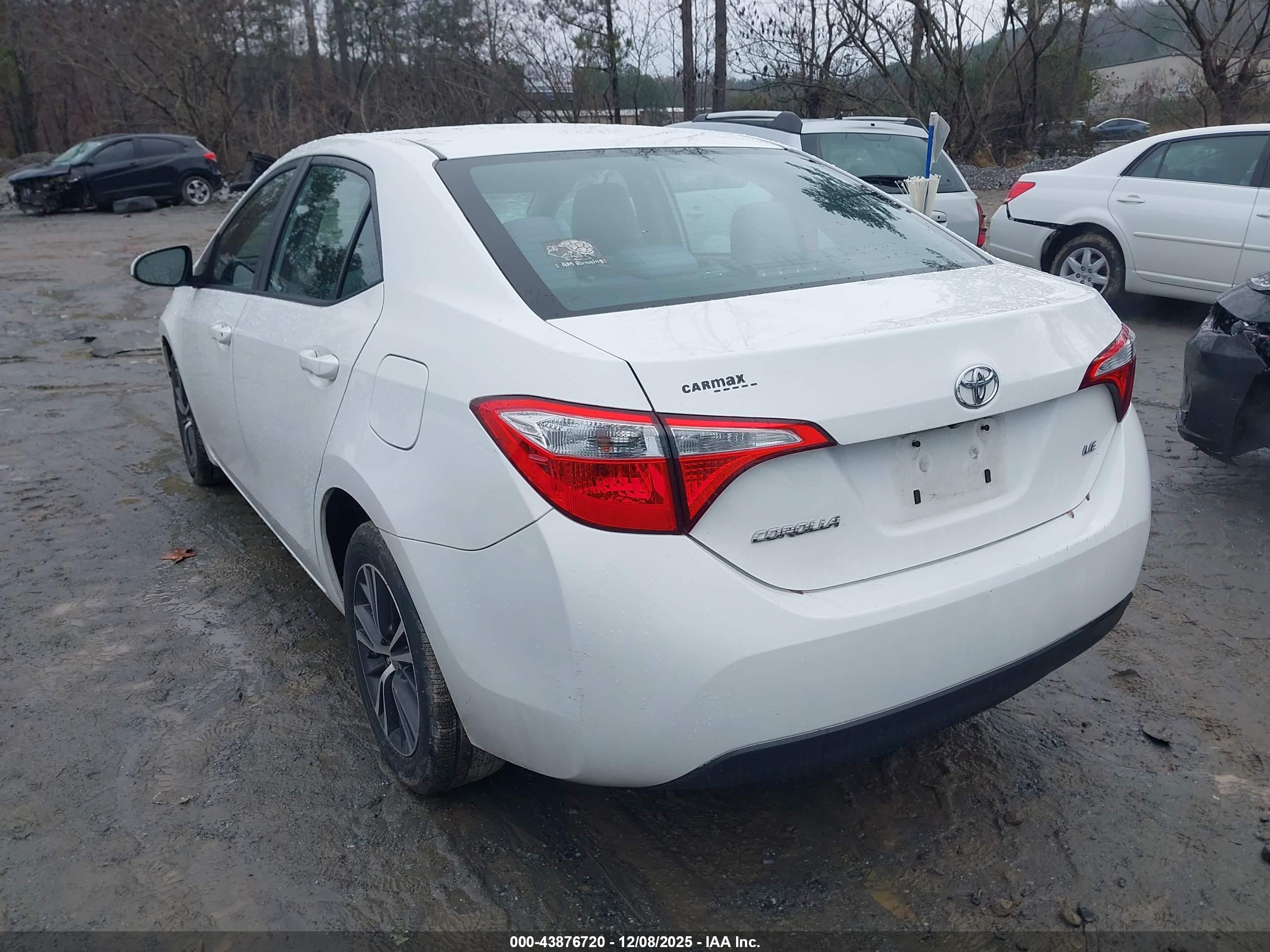 TOYOTA COROLLA image 3