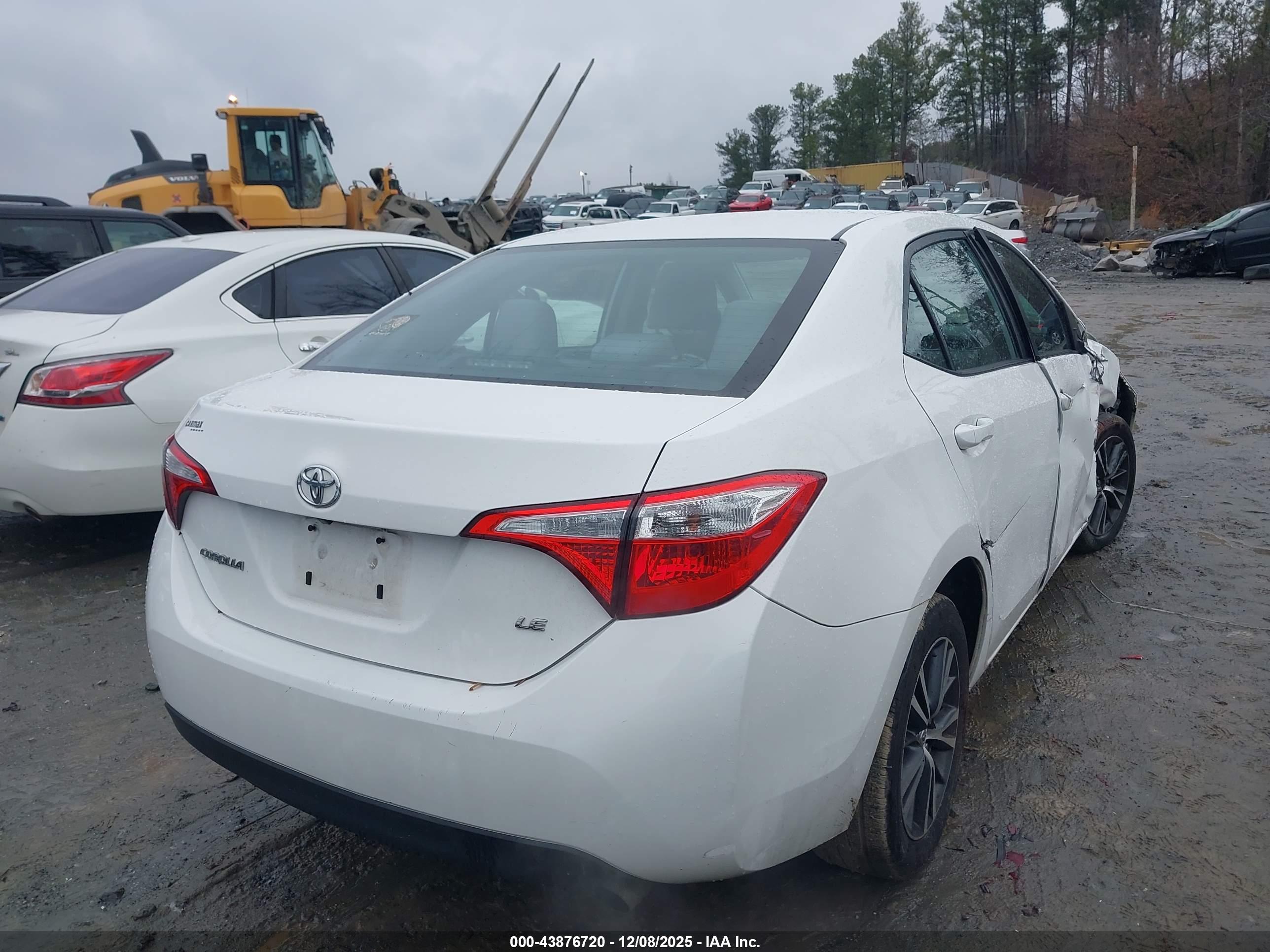 TOYOTA COROLLA image 4