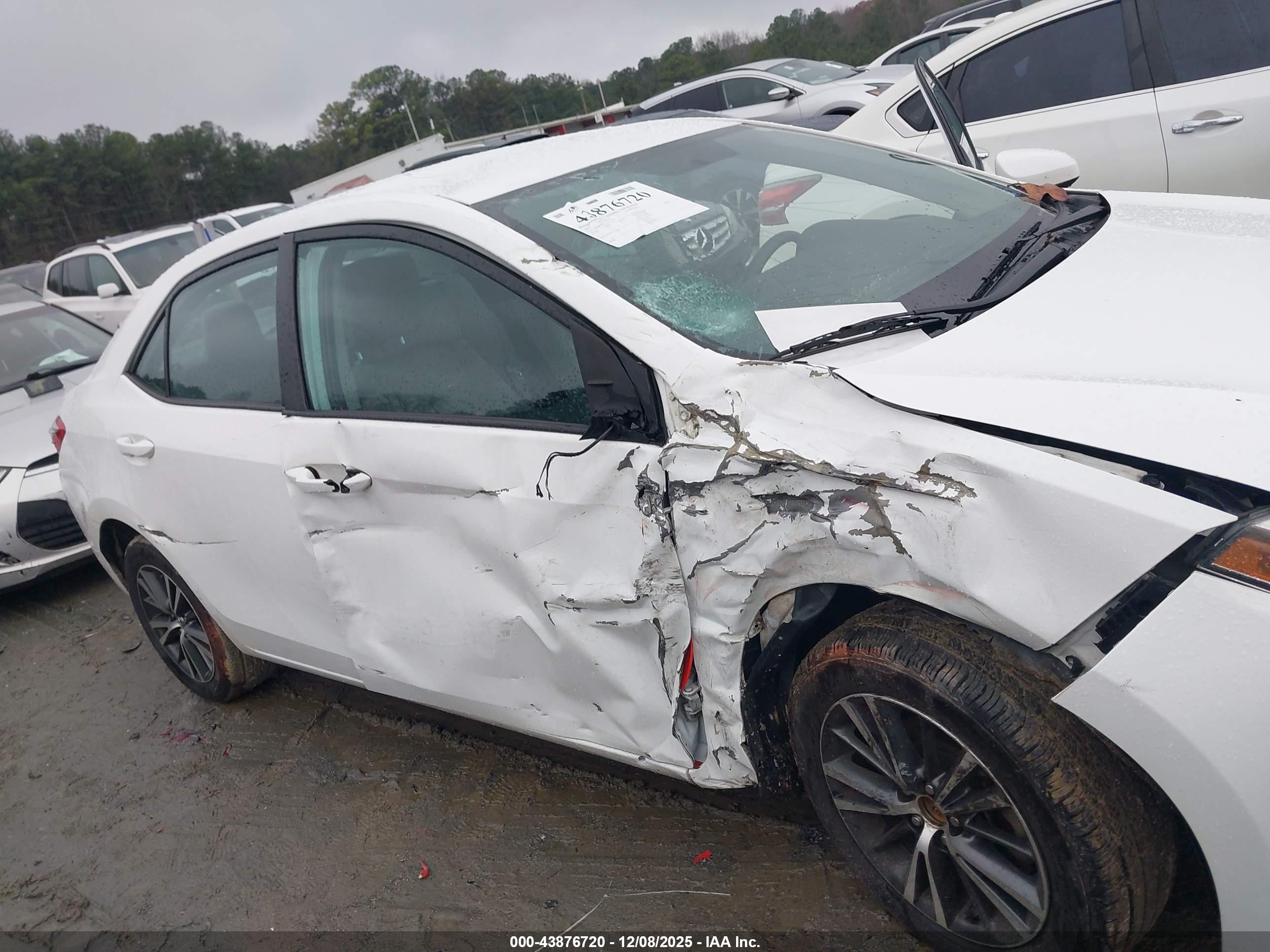 TOYOTA COROLLA image 6