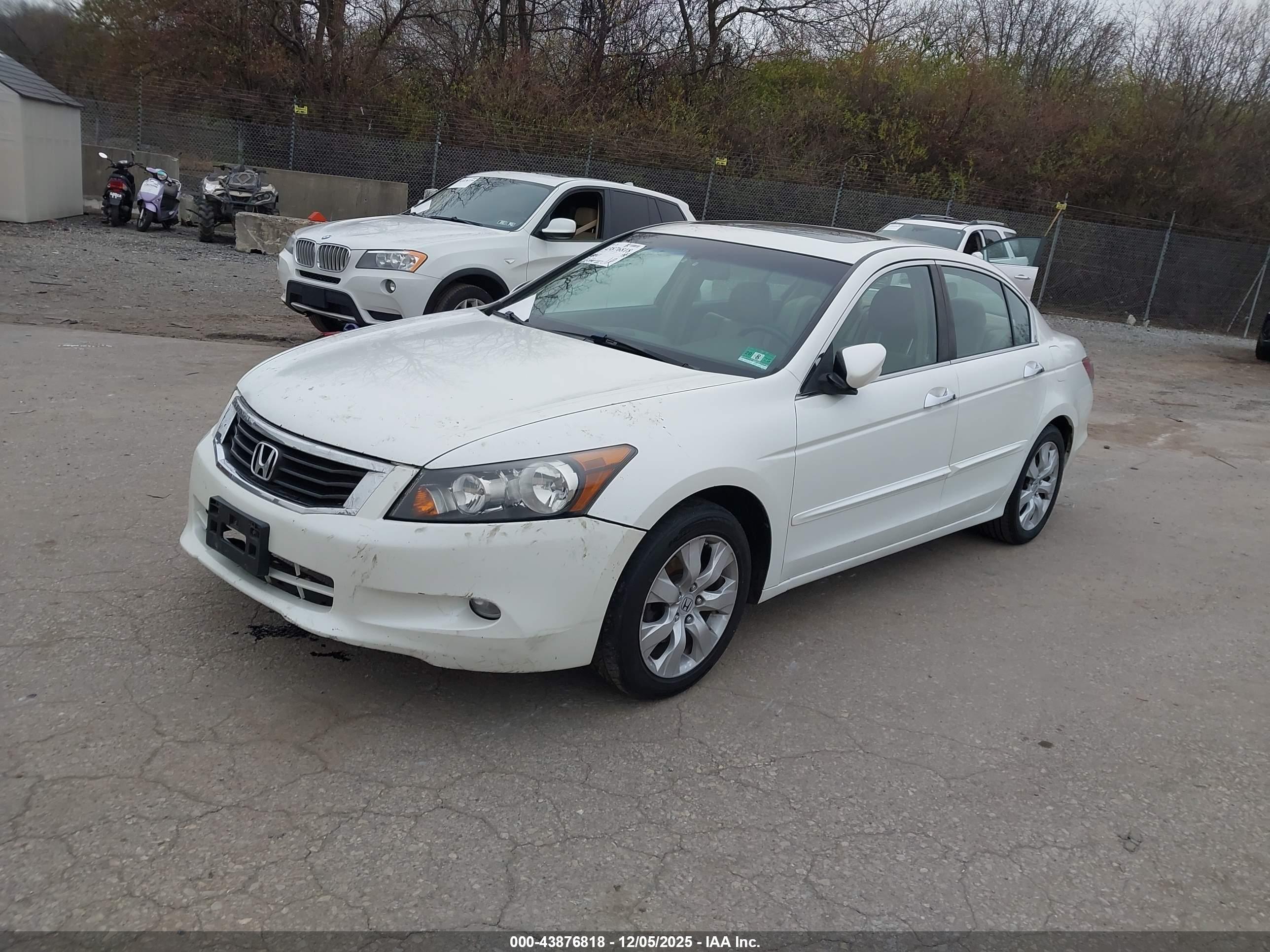 HONDA ACCORD image 2