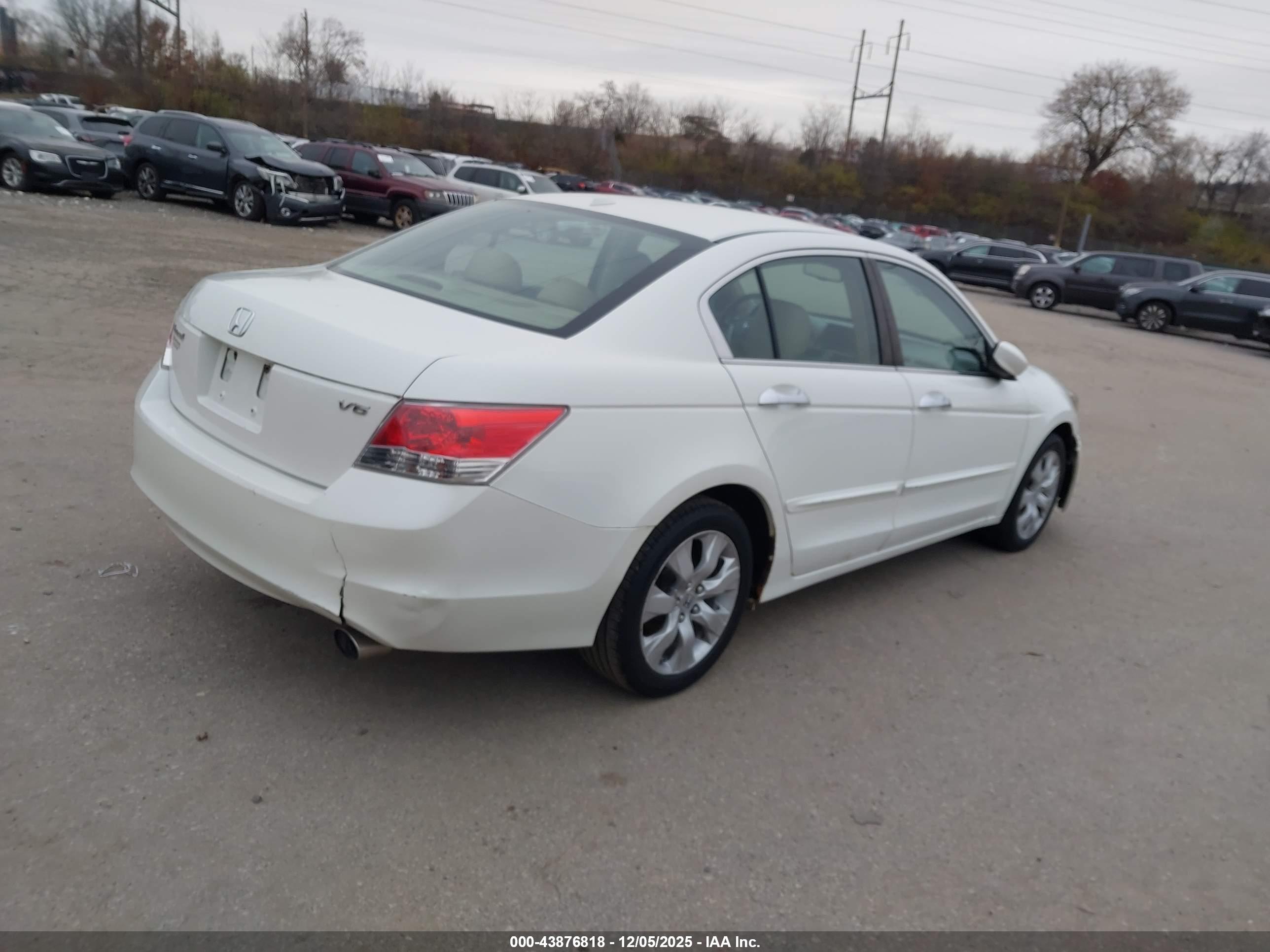 HONDA ACCORD image 4