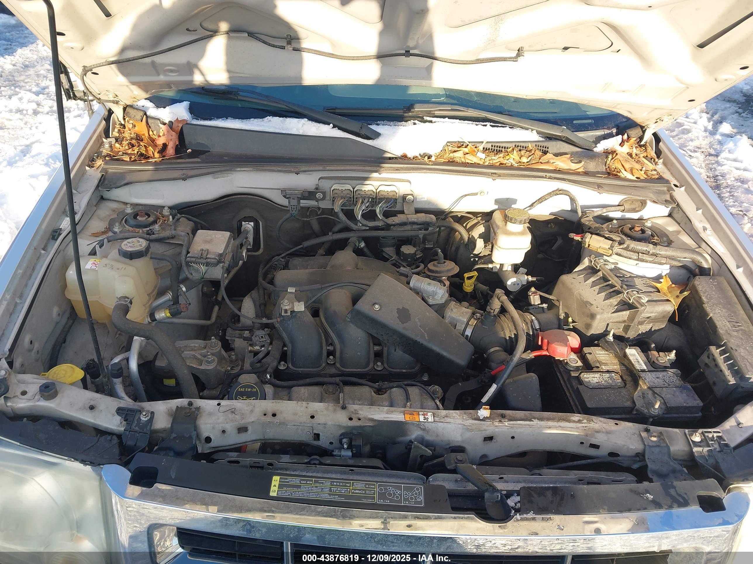 FORD ESCAPE image 10