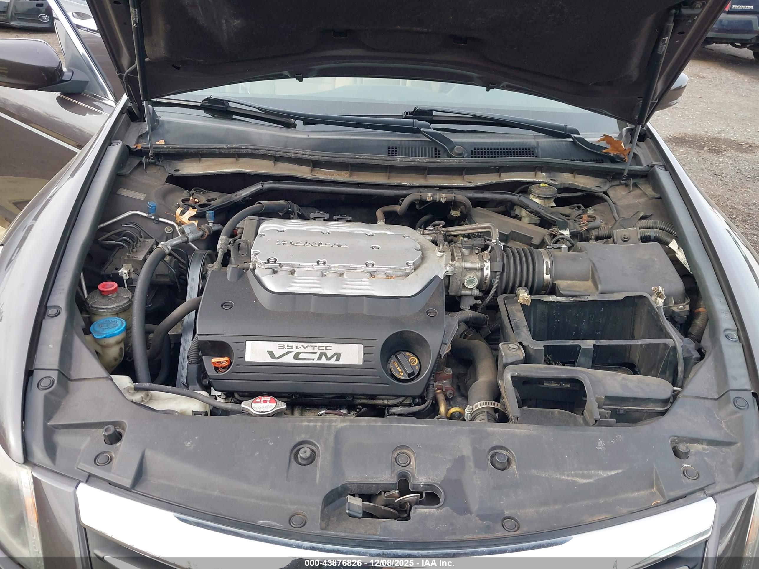 HONDA ACCORD image 10