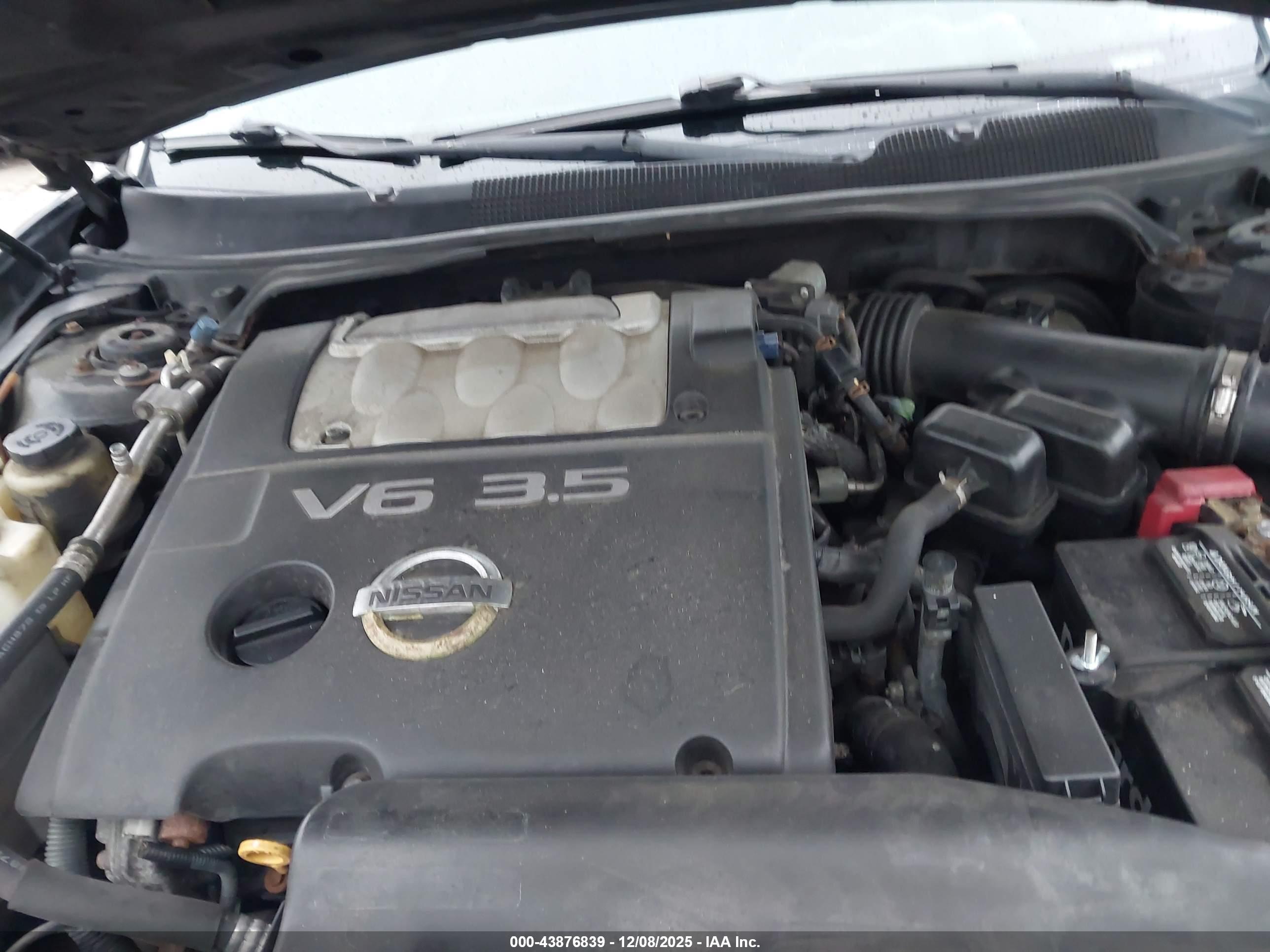 NISSAN MAXIMA image 10
