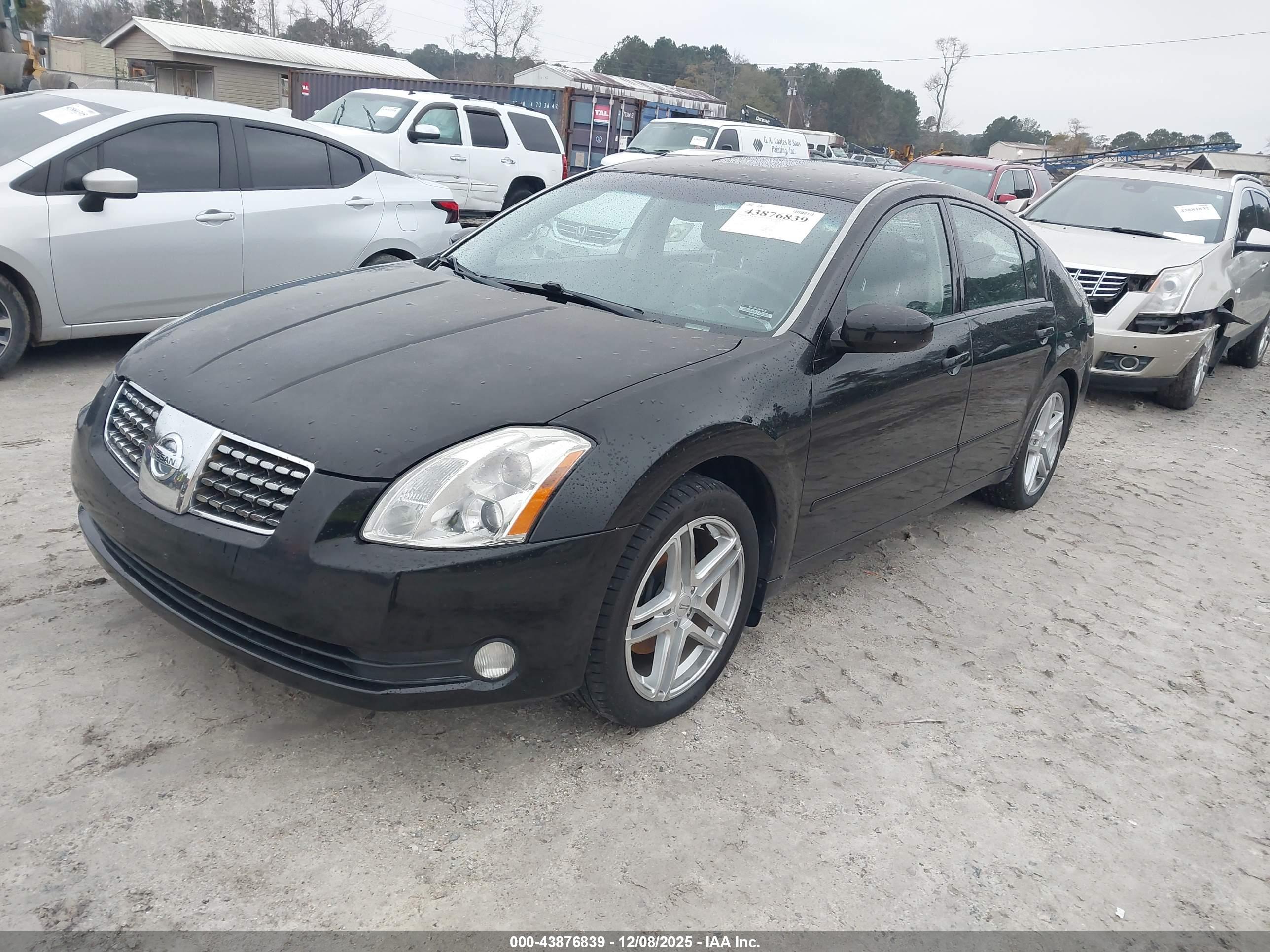 NISSAN MAXIMA image 2
