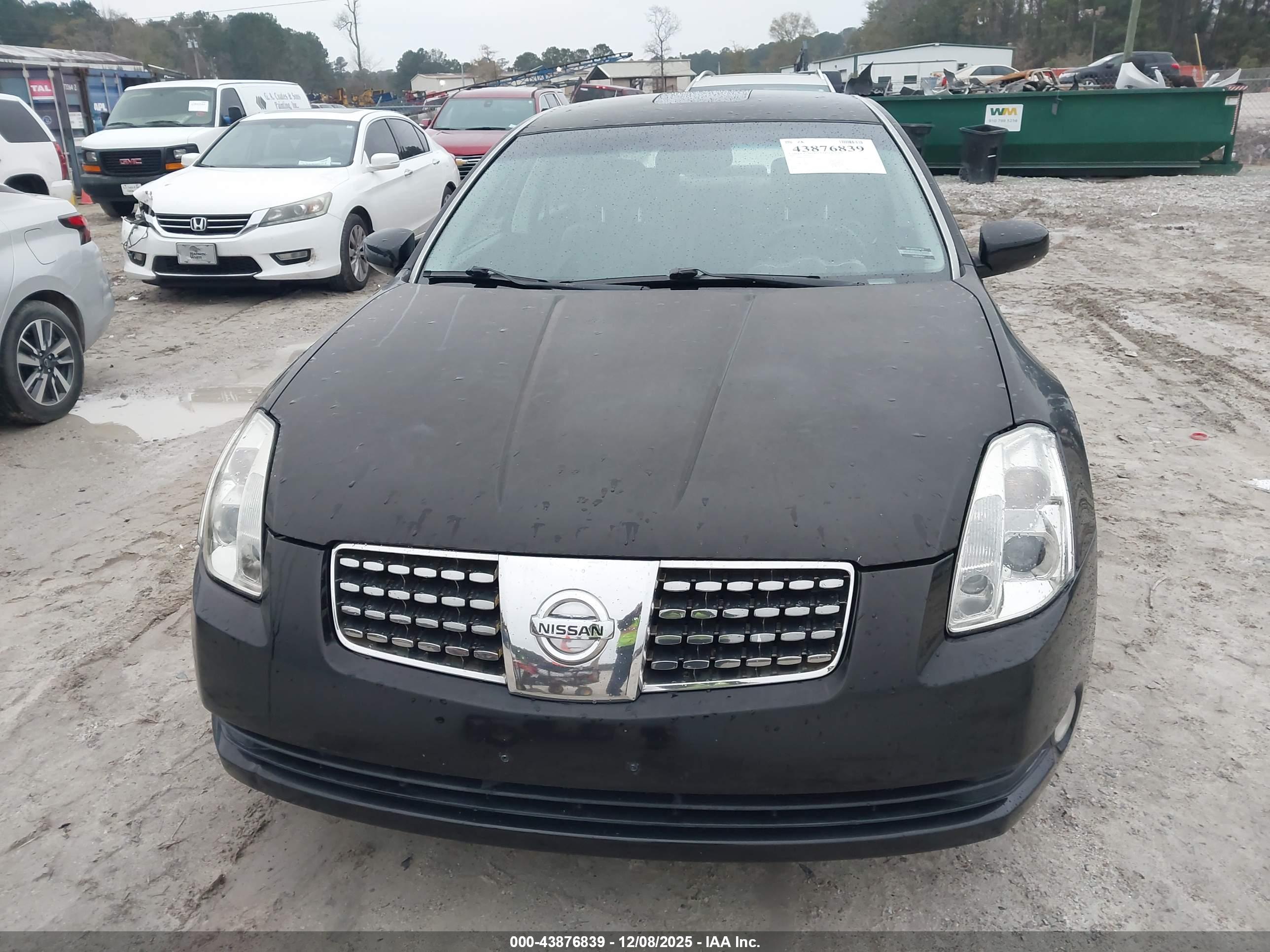 NISSAN MAXIMA image 6