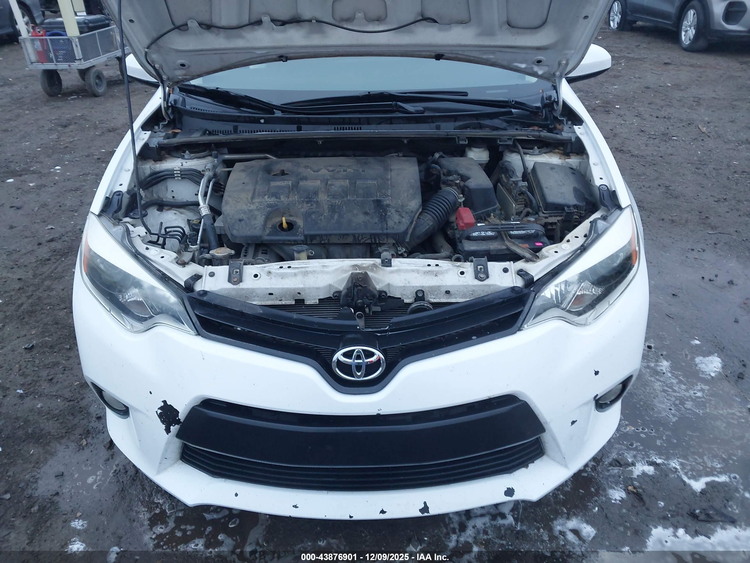 TOYOTA COROLLA image 10