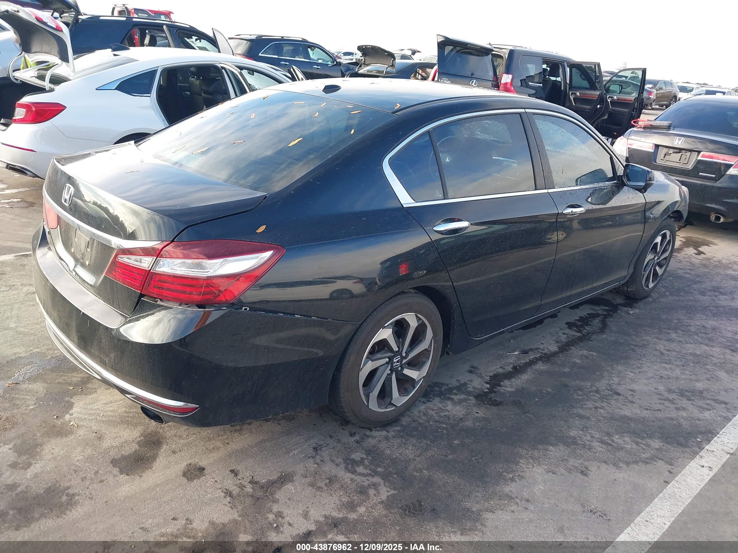 HONDA ACCORD image 4
