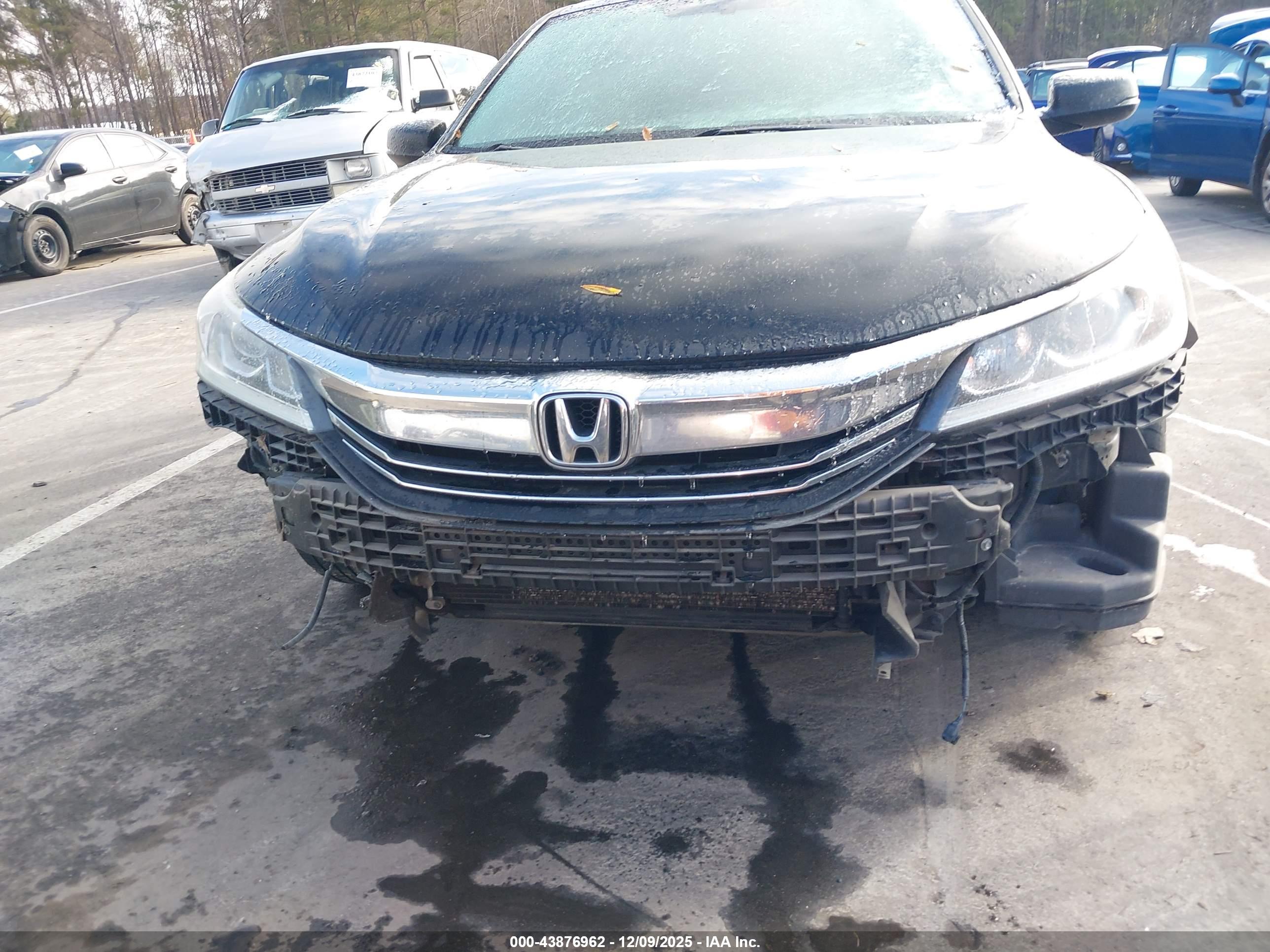 HONDA ACCORD image 6