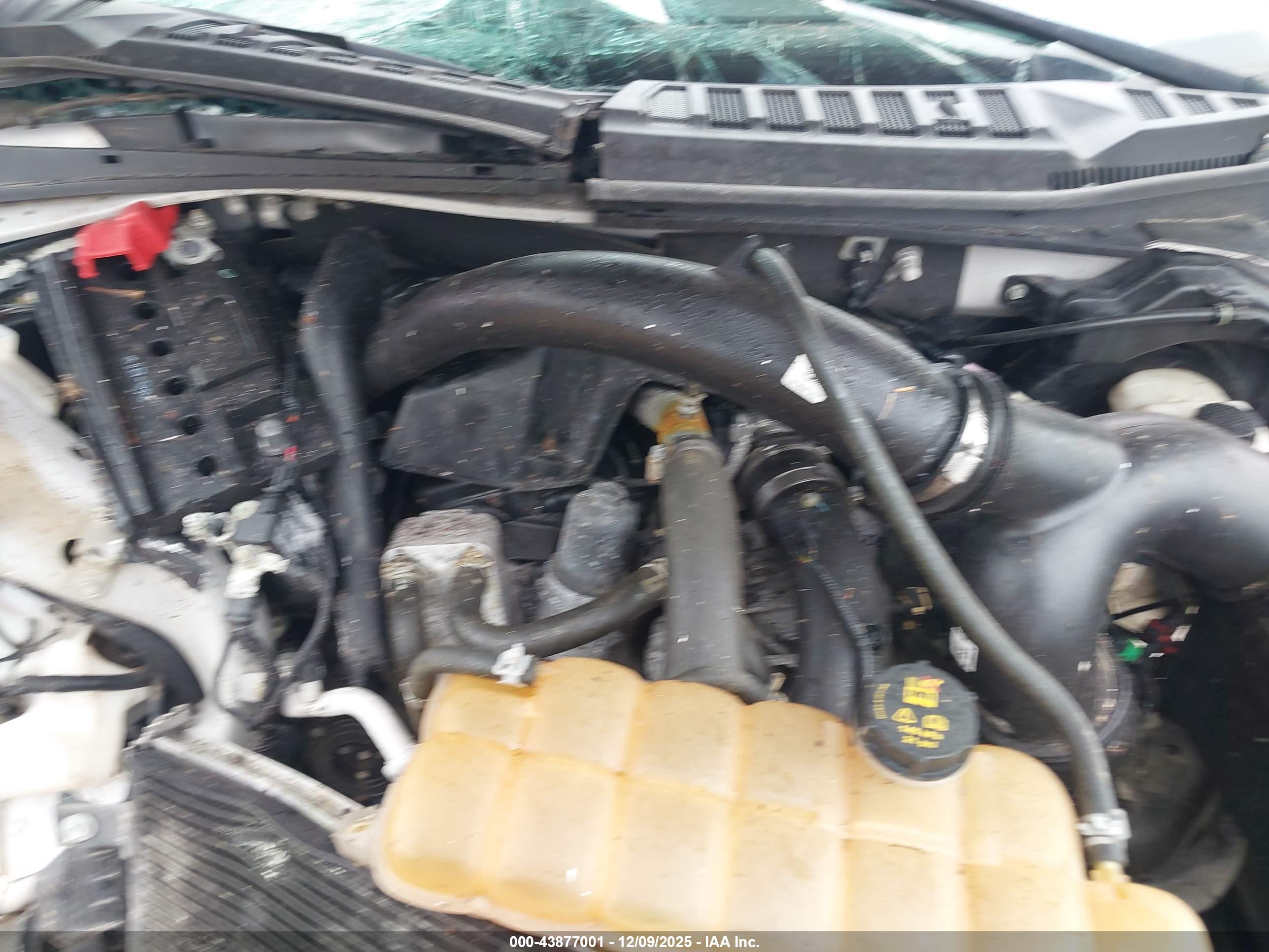 FORD F-150 image 10