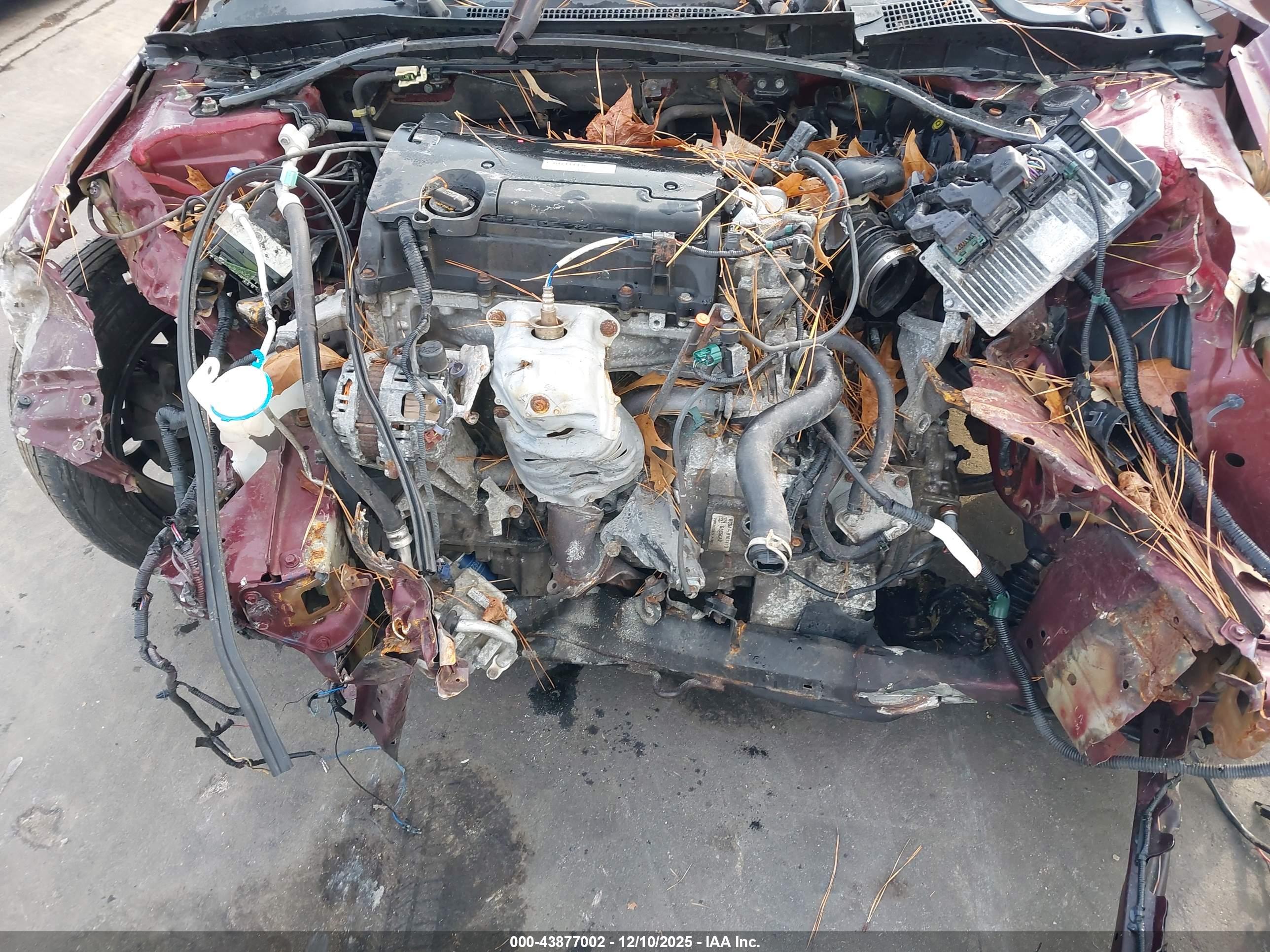 HONDA ACCORD image 10