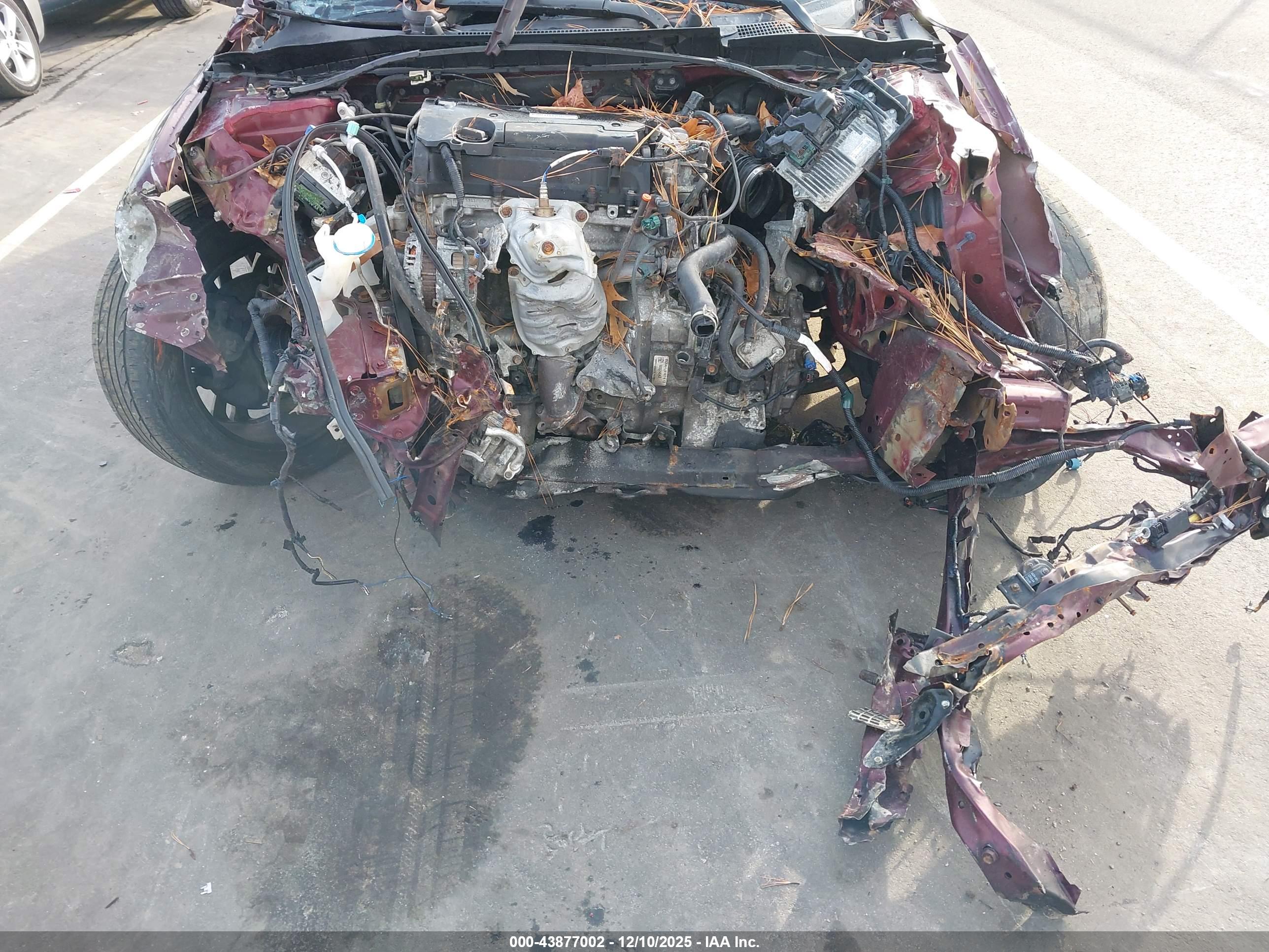 HONDA ACCORD image 6