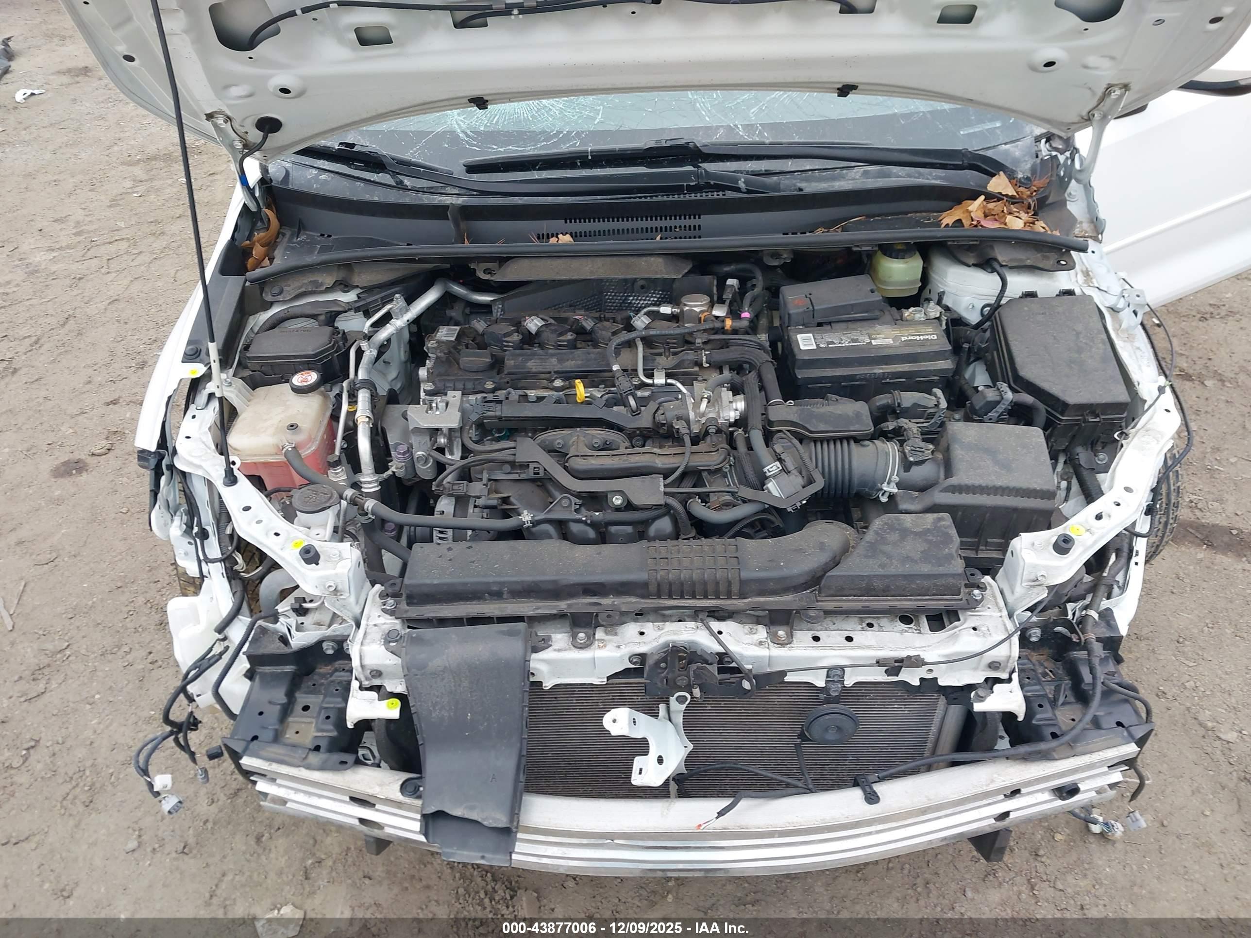TOYOTA COROLLA image 10