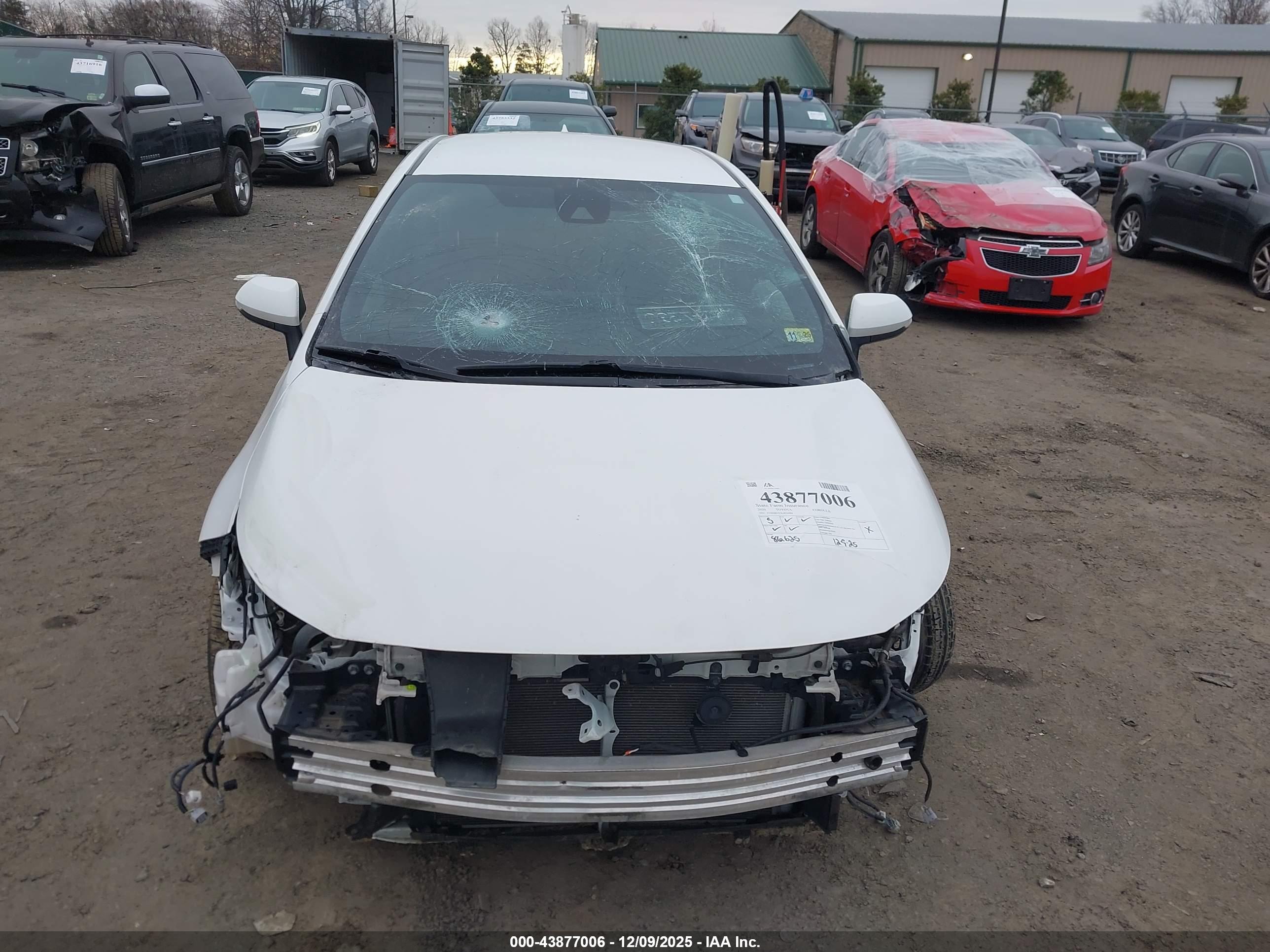 TOYOTA COROLLA image 6