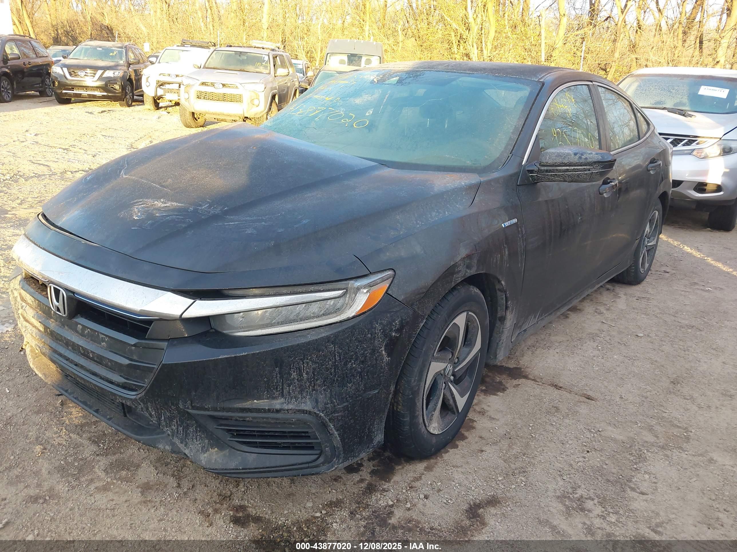 HONDA INSIGHT image 2