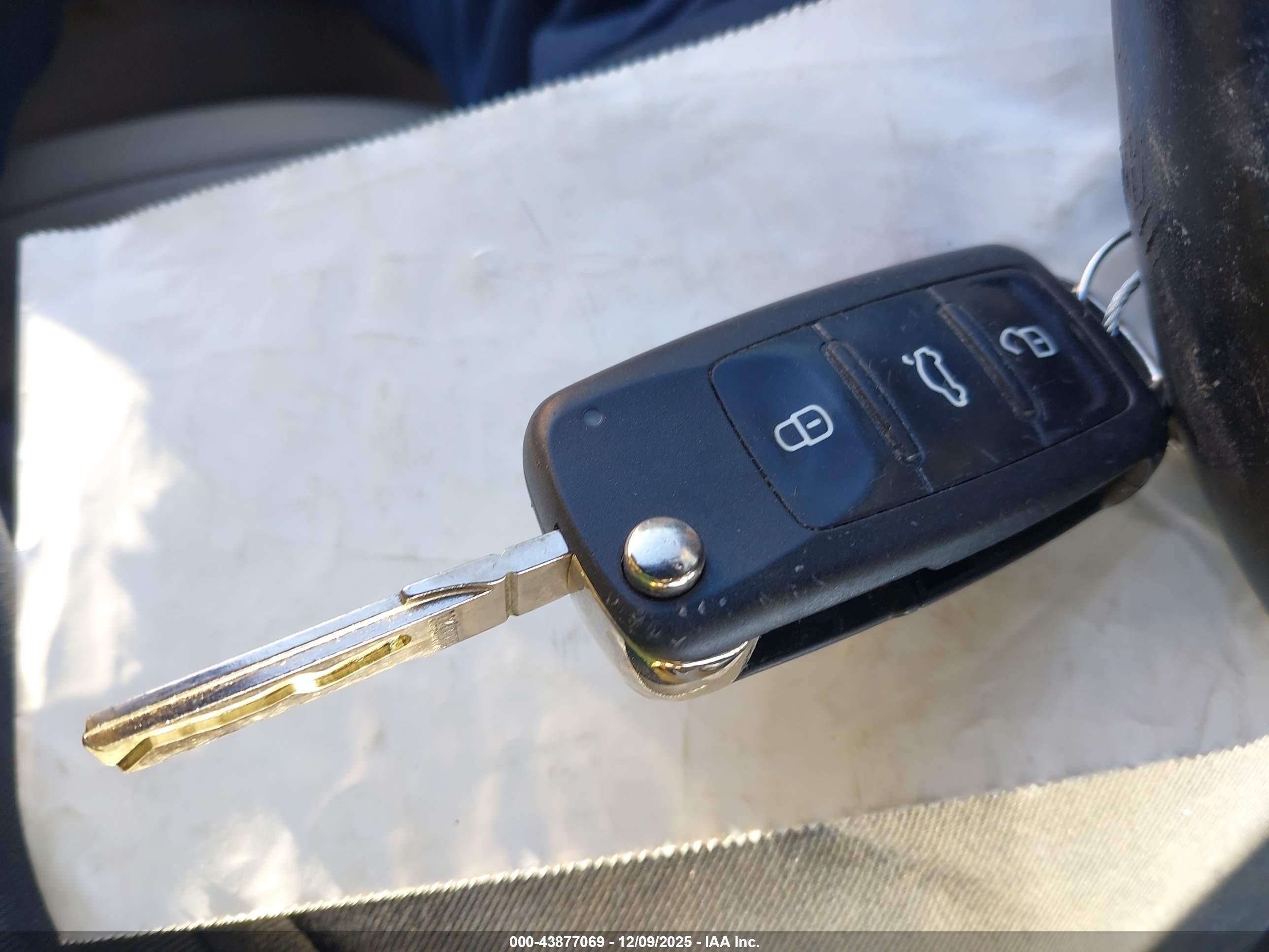 VOLKSWAGEN BEETLE image 11
