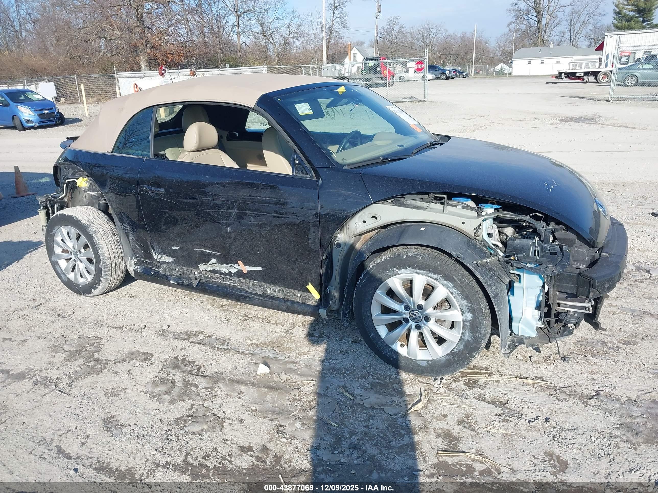 VOLKSWAGEN BEETLE image 6