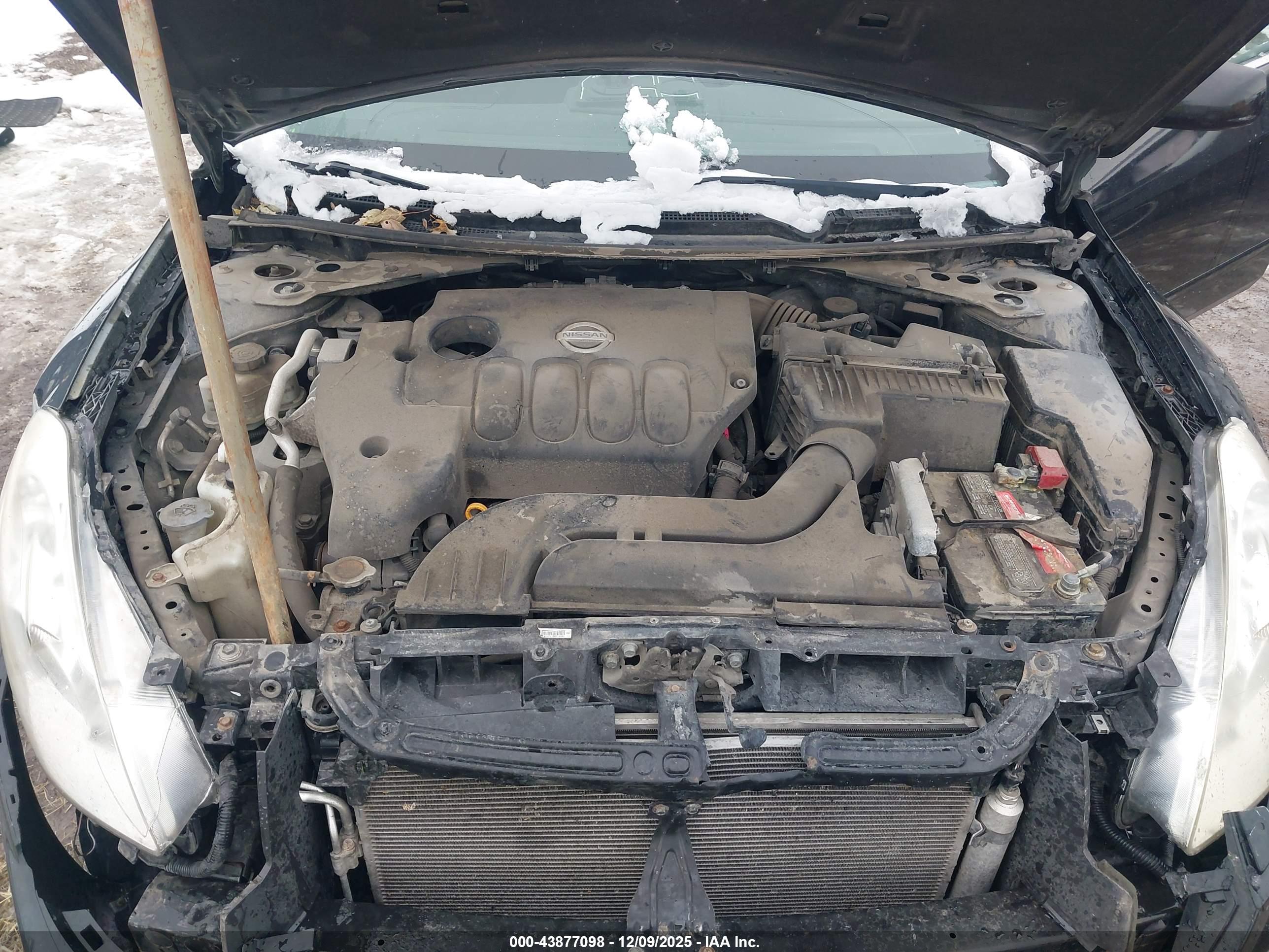 NISSAN ALTIMA image 10