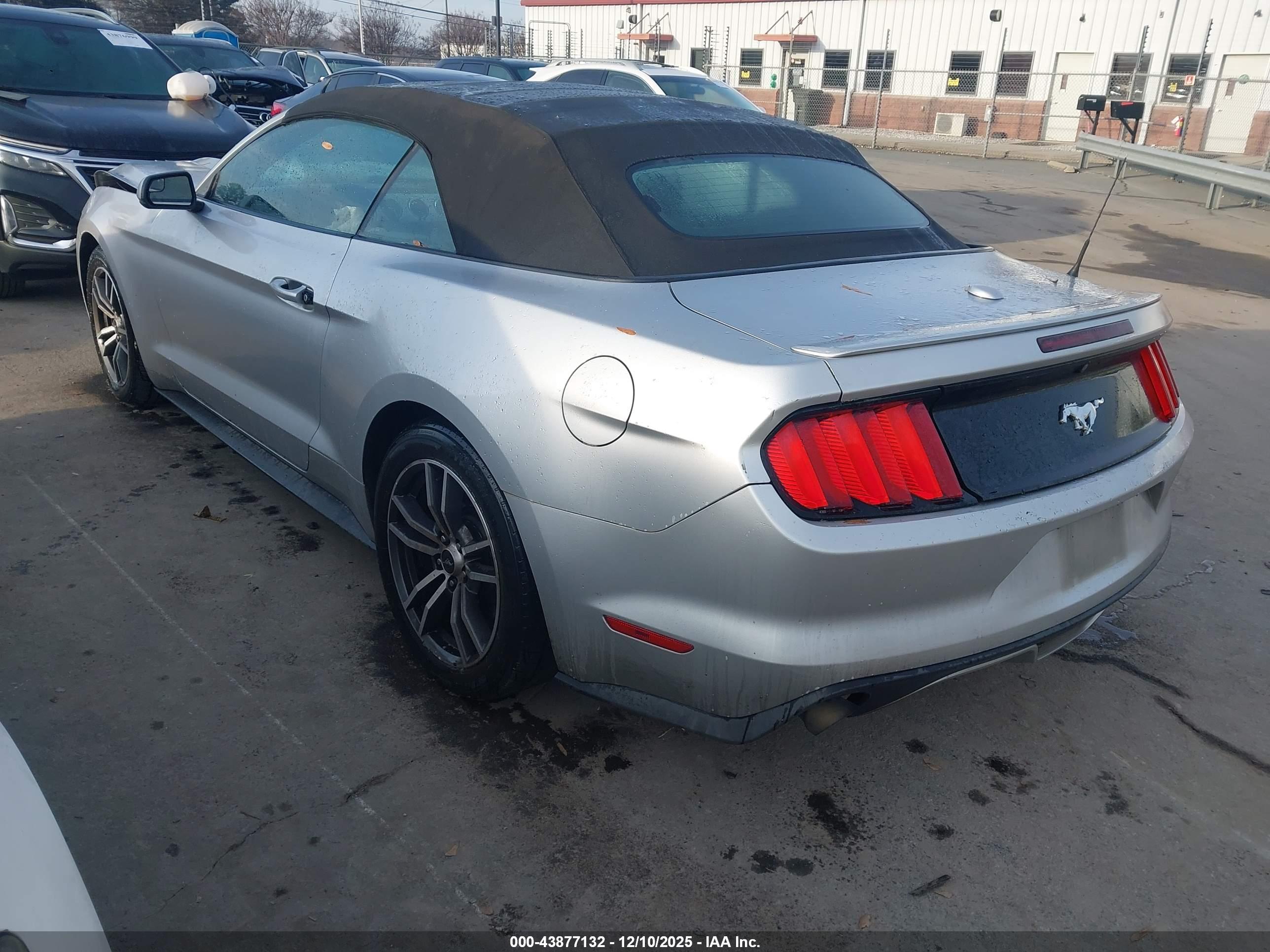FORD MUSTANG image 3