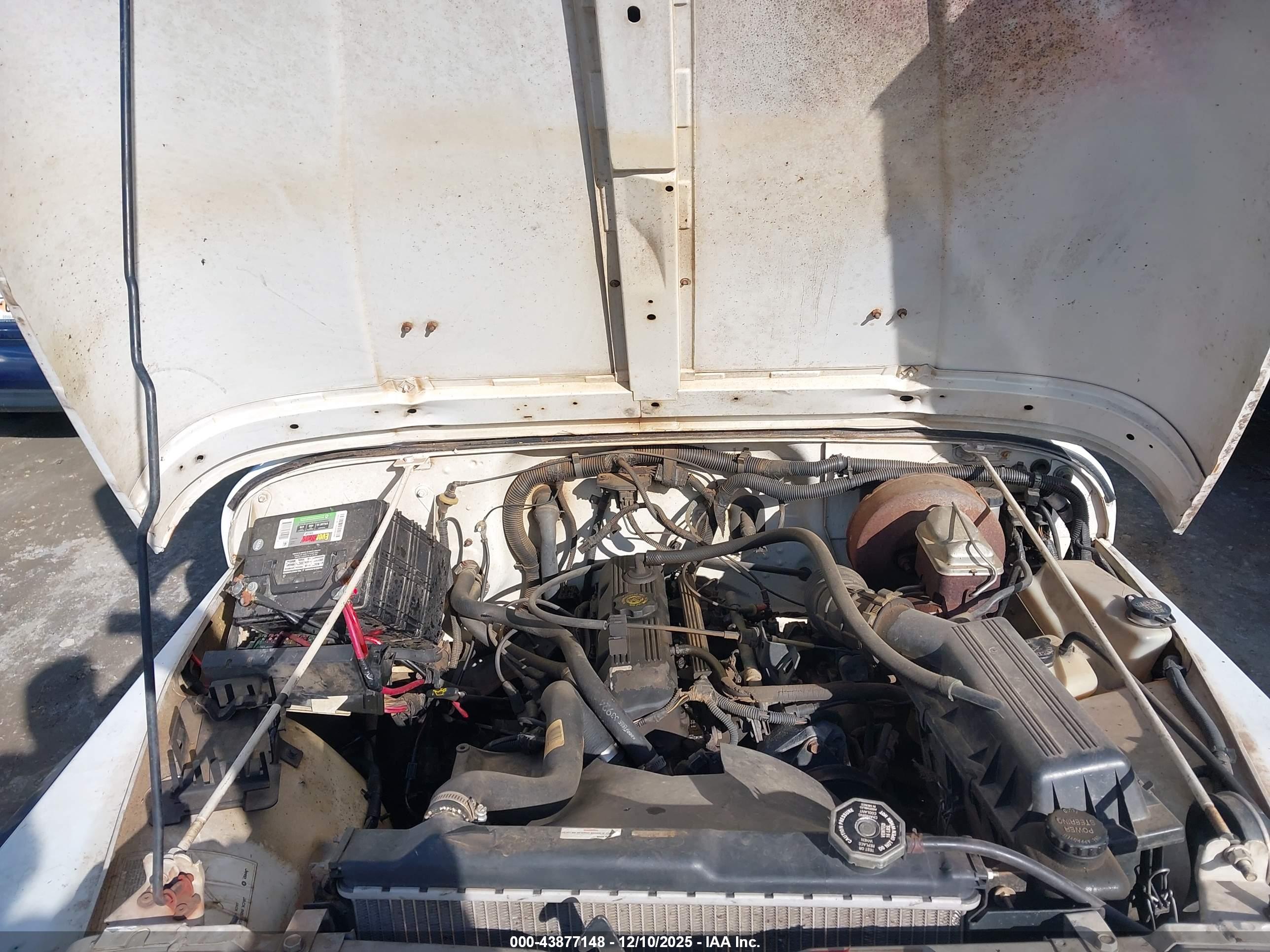 JEEP WRANGLER image 10