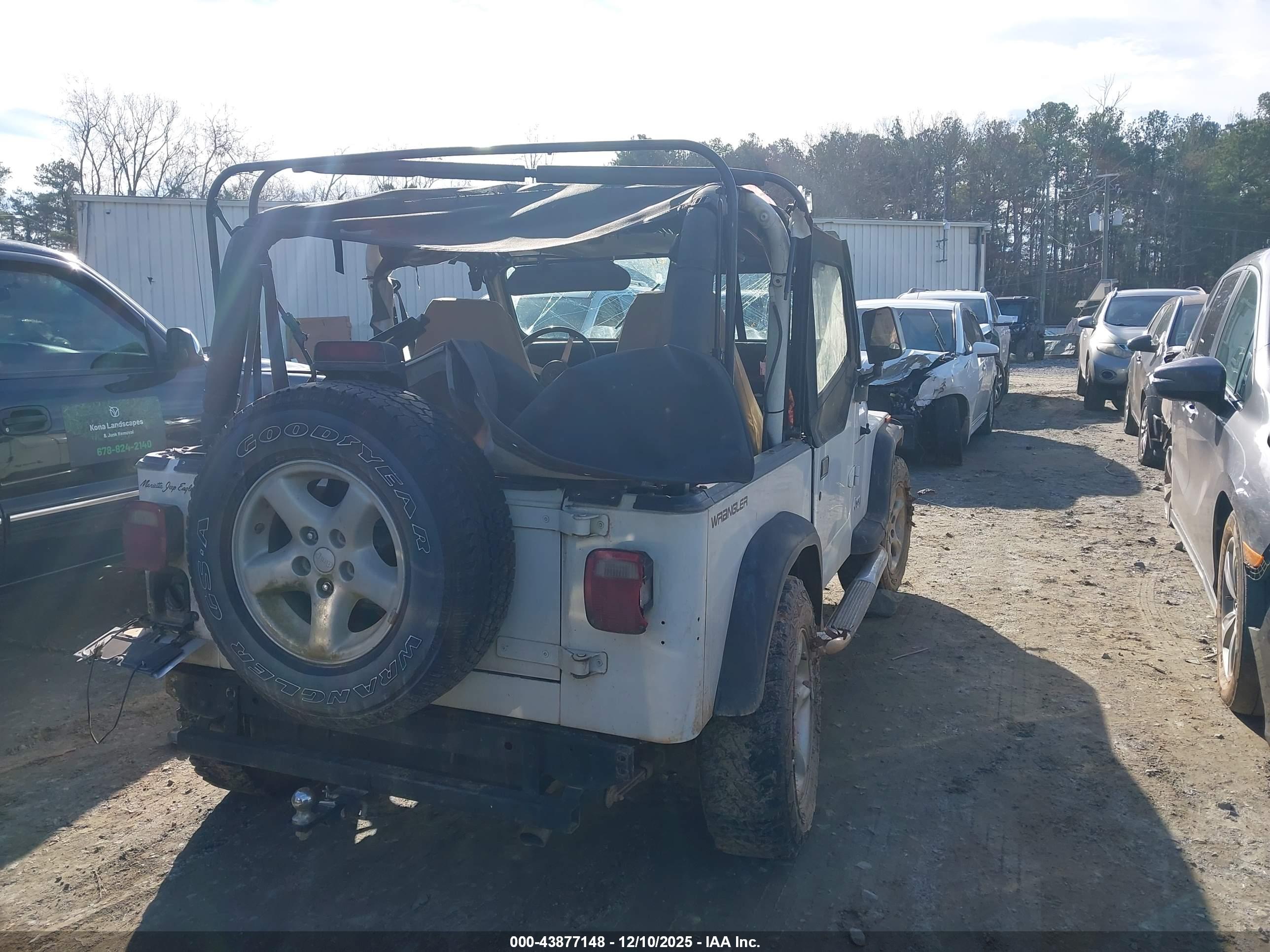 JEEP WRANGLER image 4