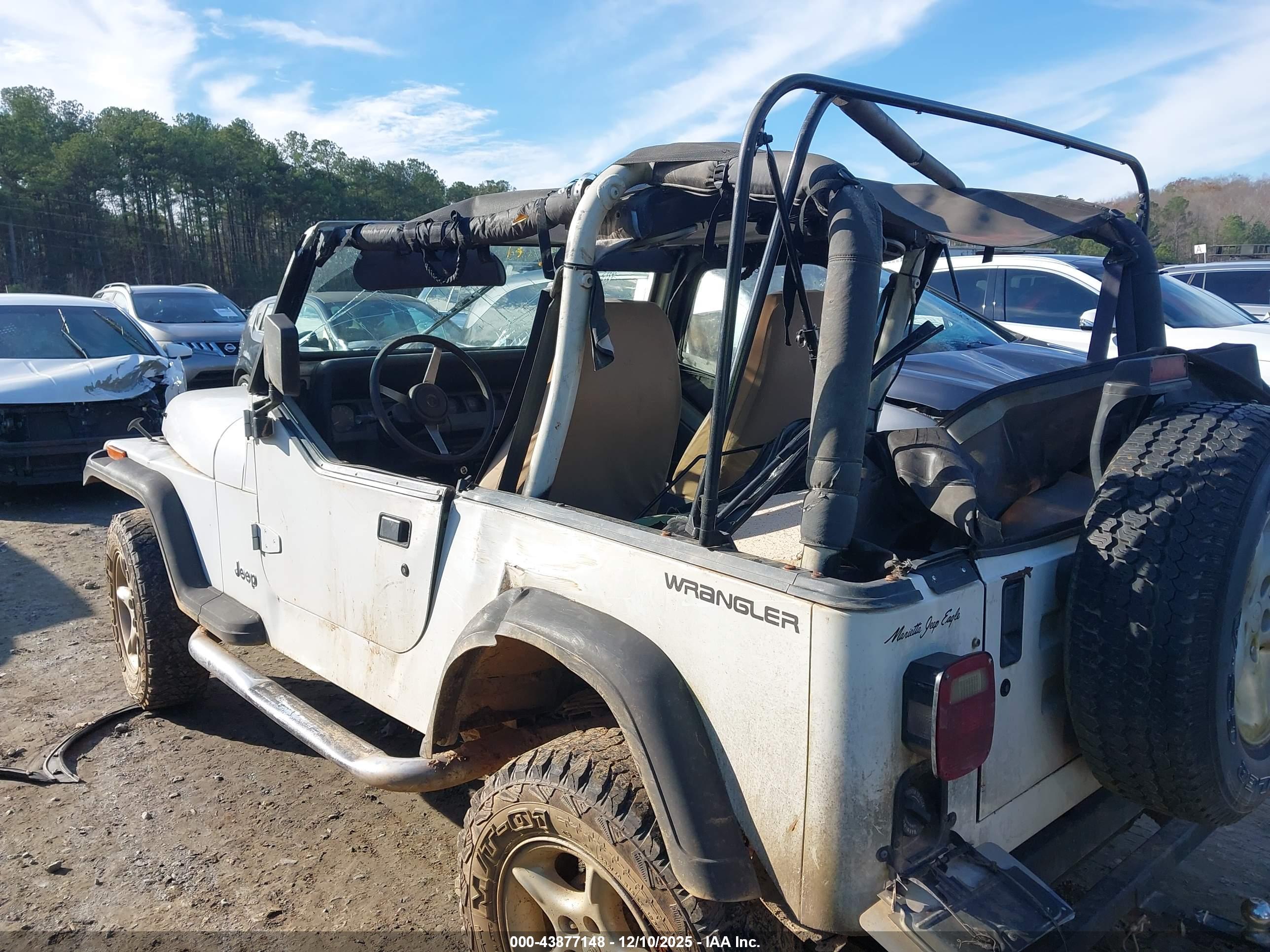 JEEP WRANGLER image 6
