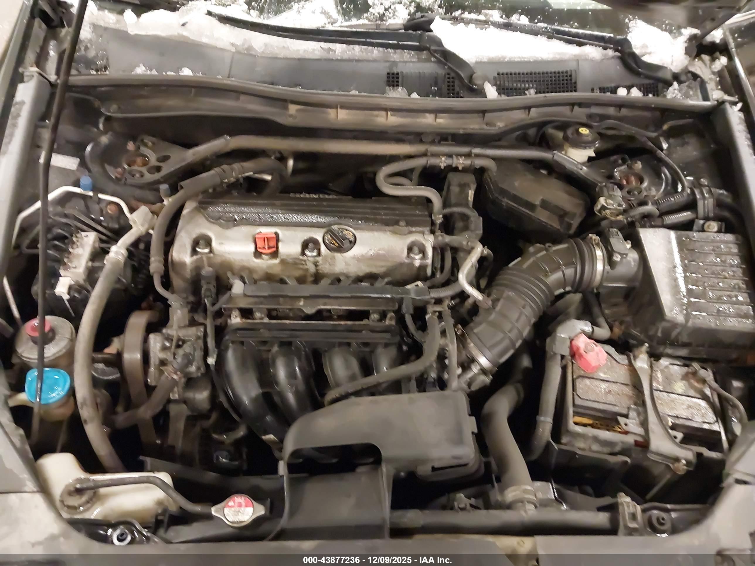 HONDA ACCORD image 10
