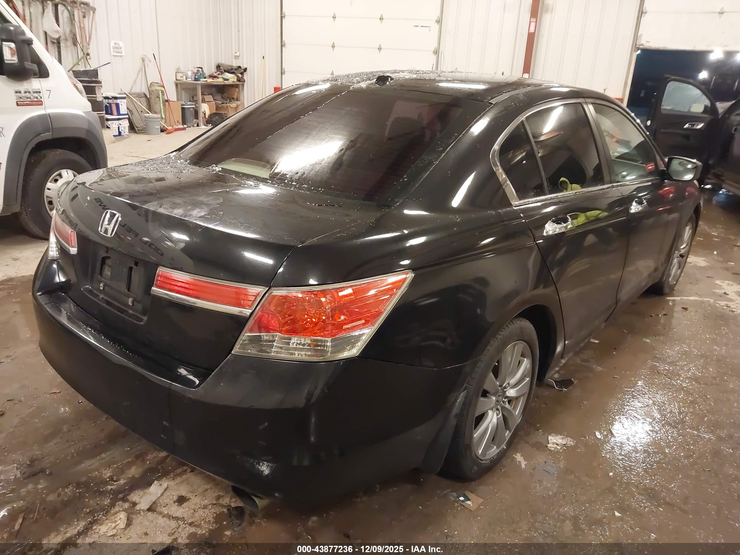 HONDA ACCORD image 4