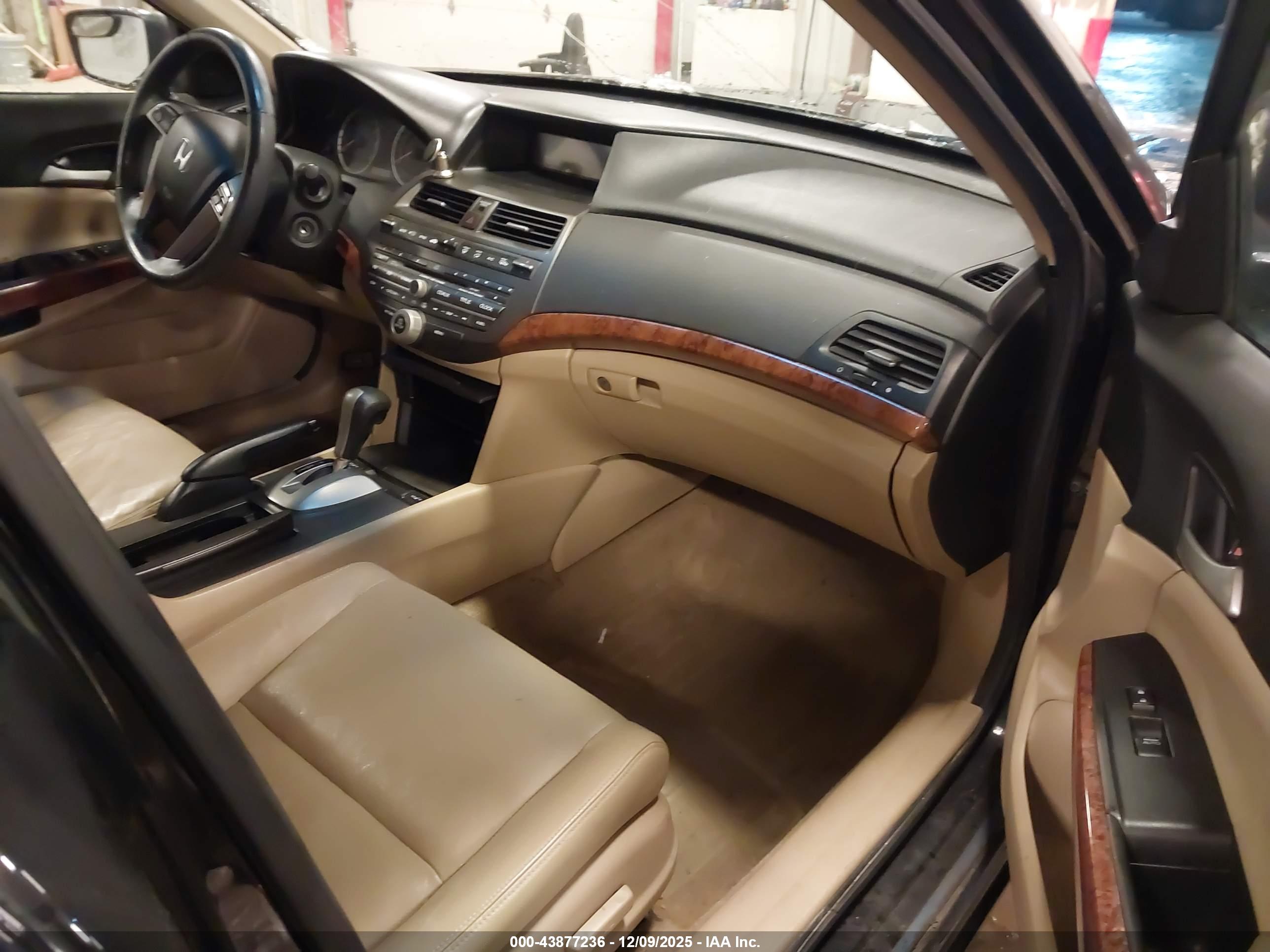 HONDA ACCORD image 5