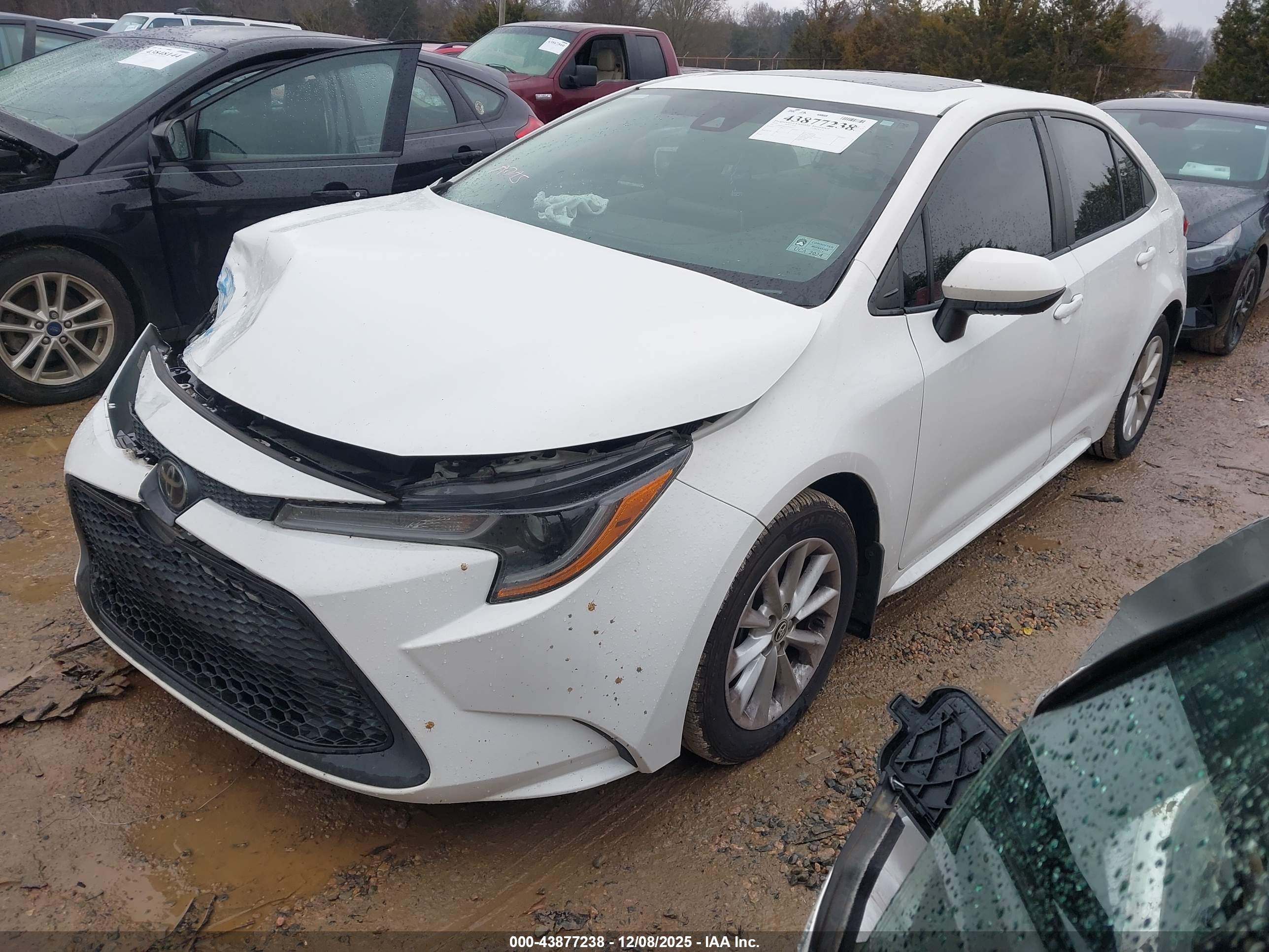 TOYOTA COROLLA image 2