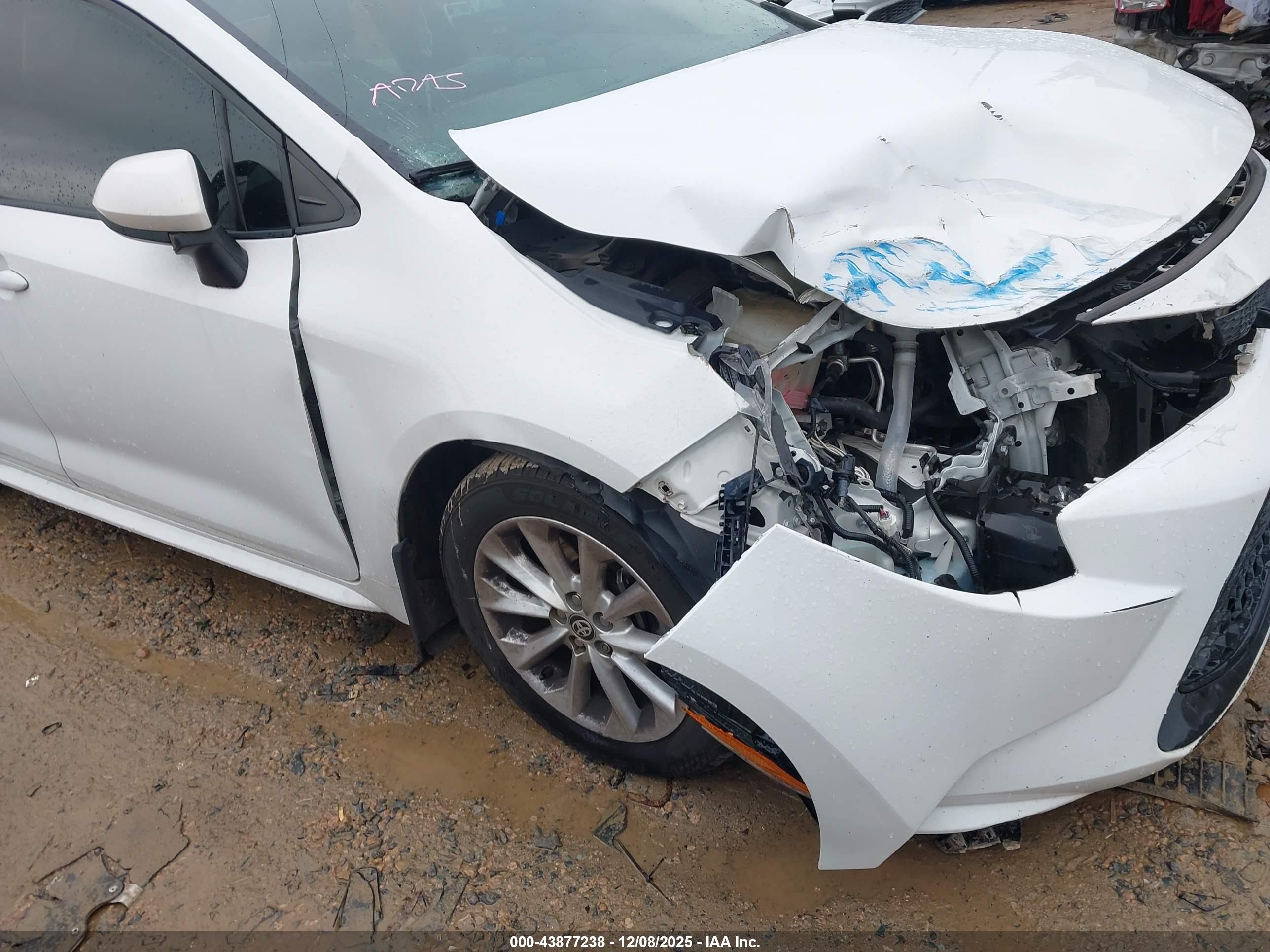 TOYOTA COROLLA image 6