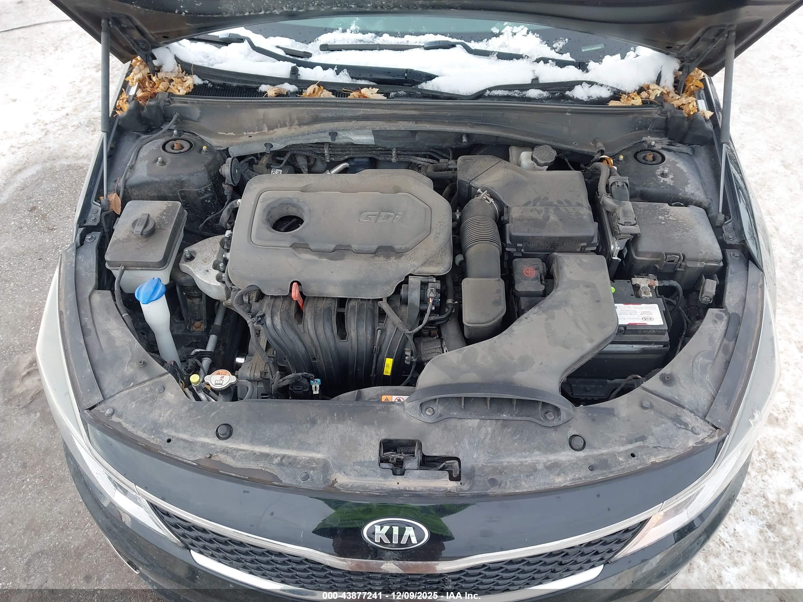 KIA OPTIMA image 10