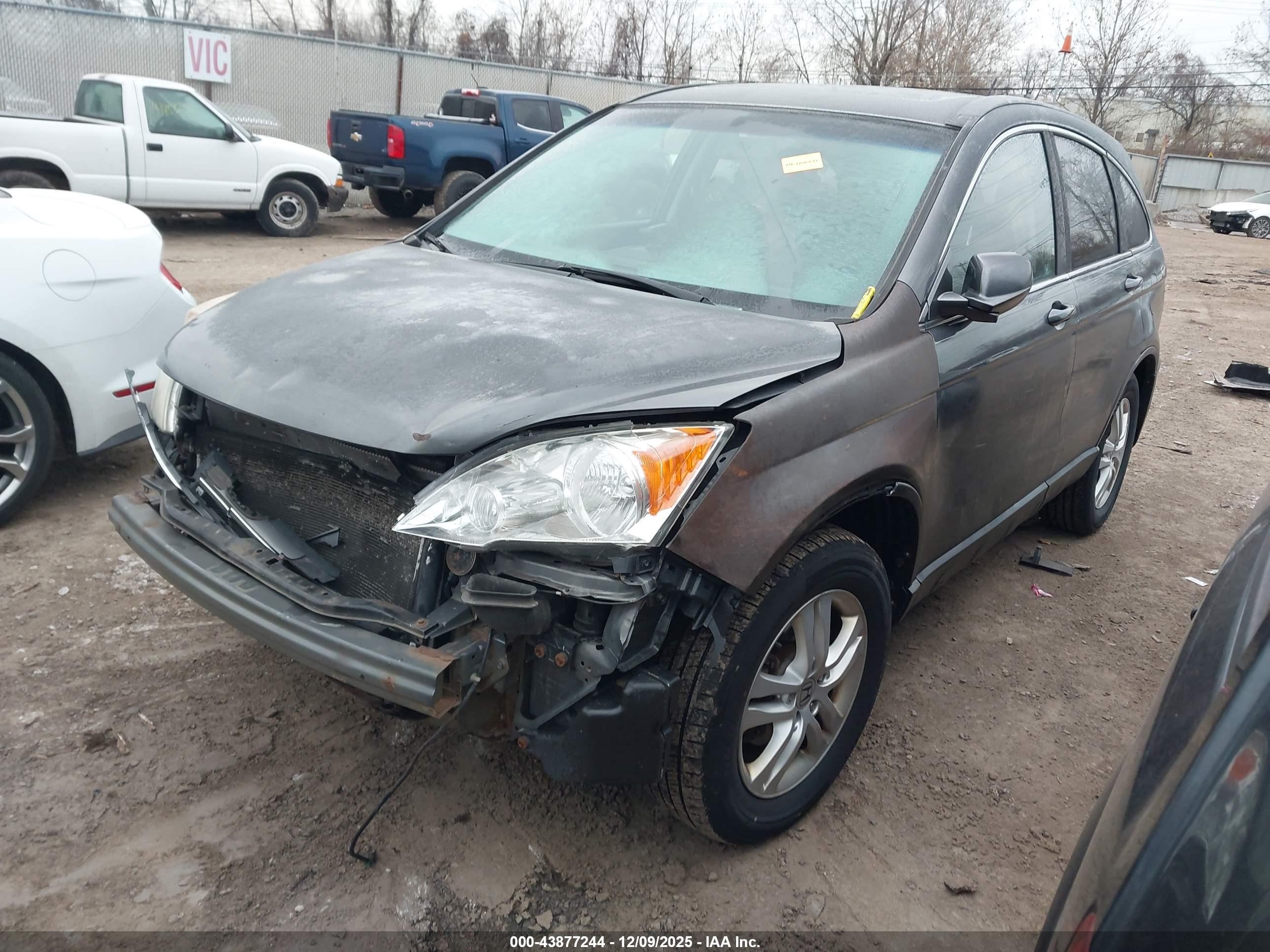 HONDA CR-V image 2