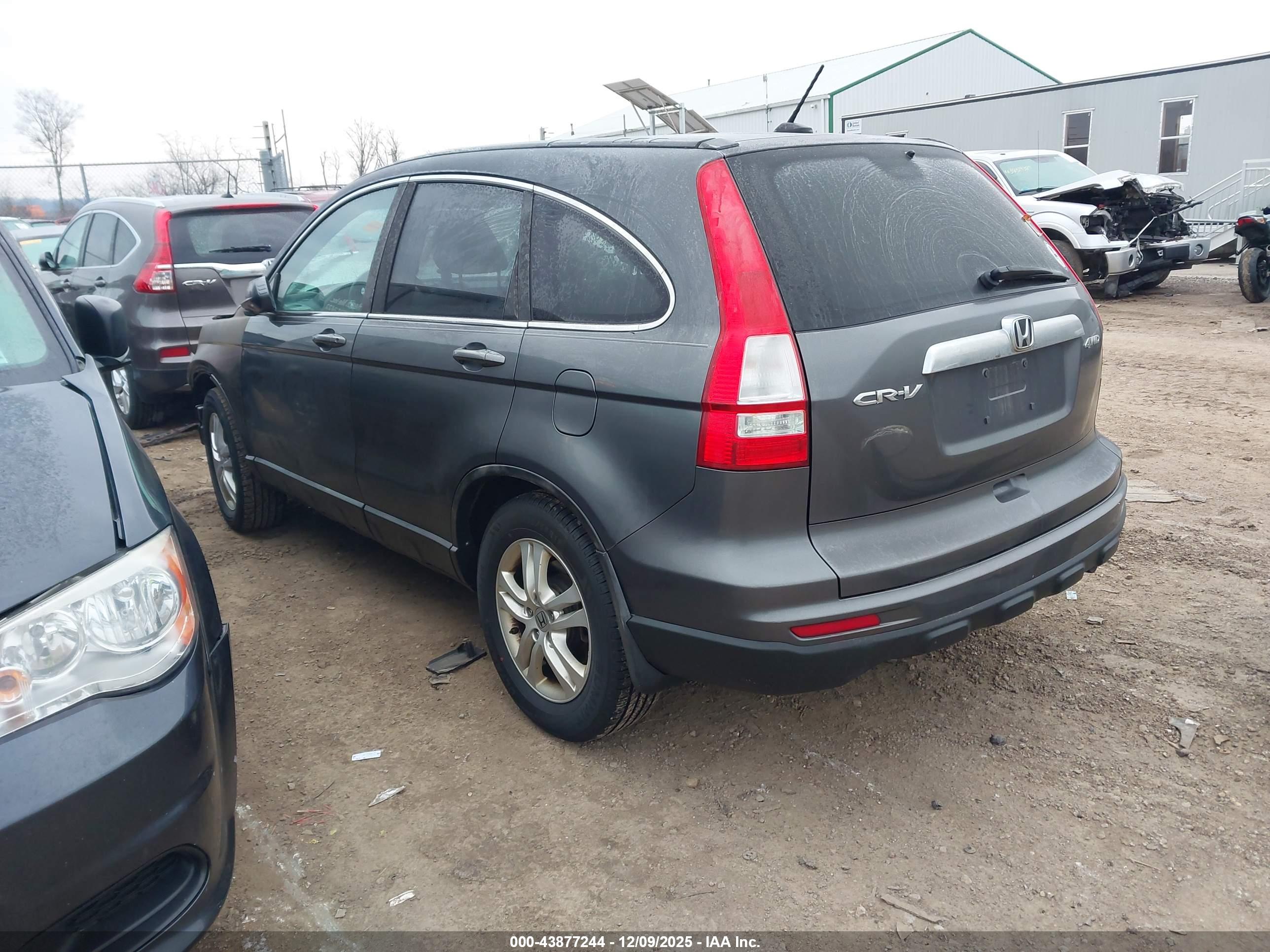 HONDA CR-V image 3
