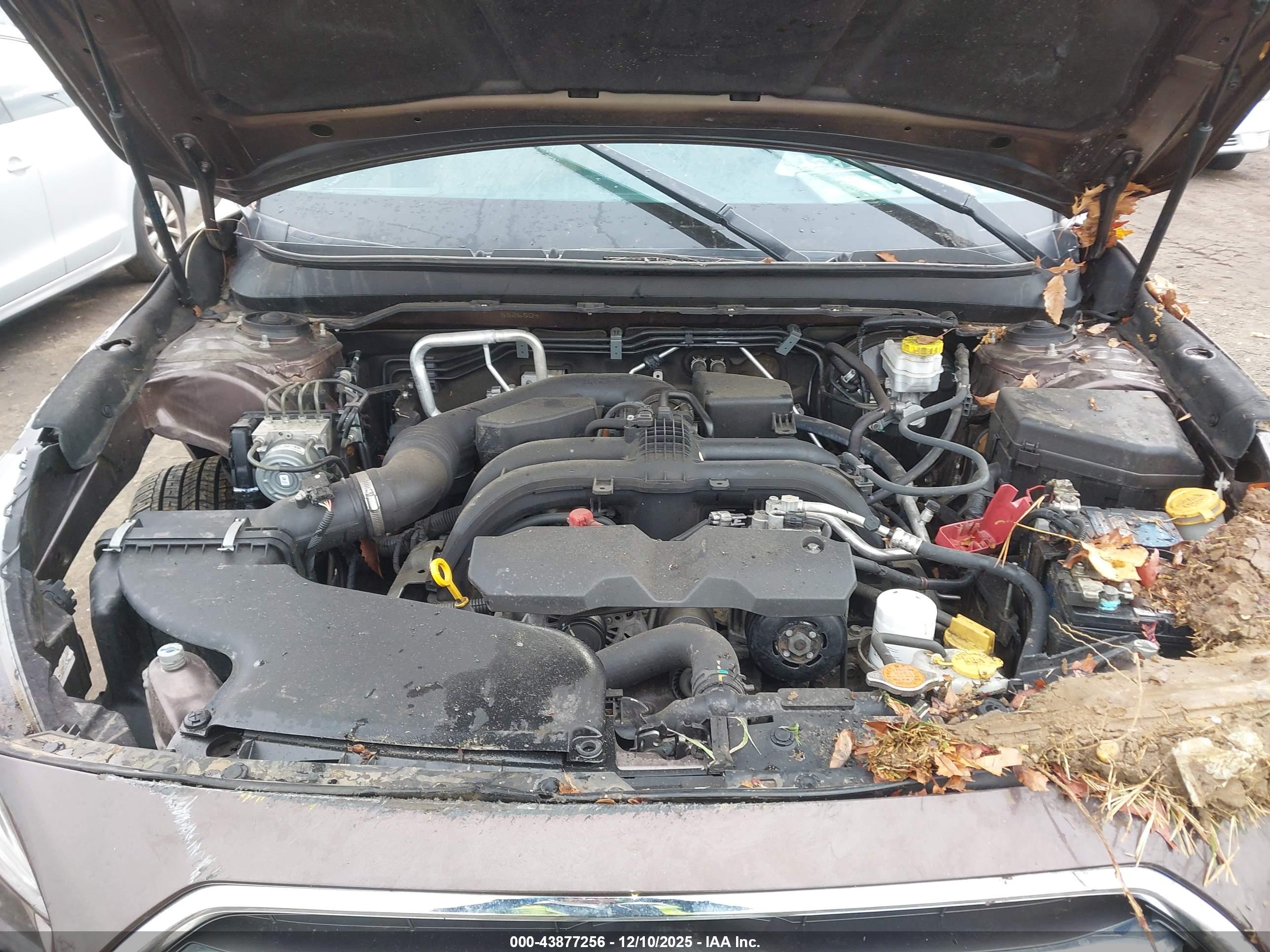 SUBARU OUTBACK image 10