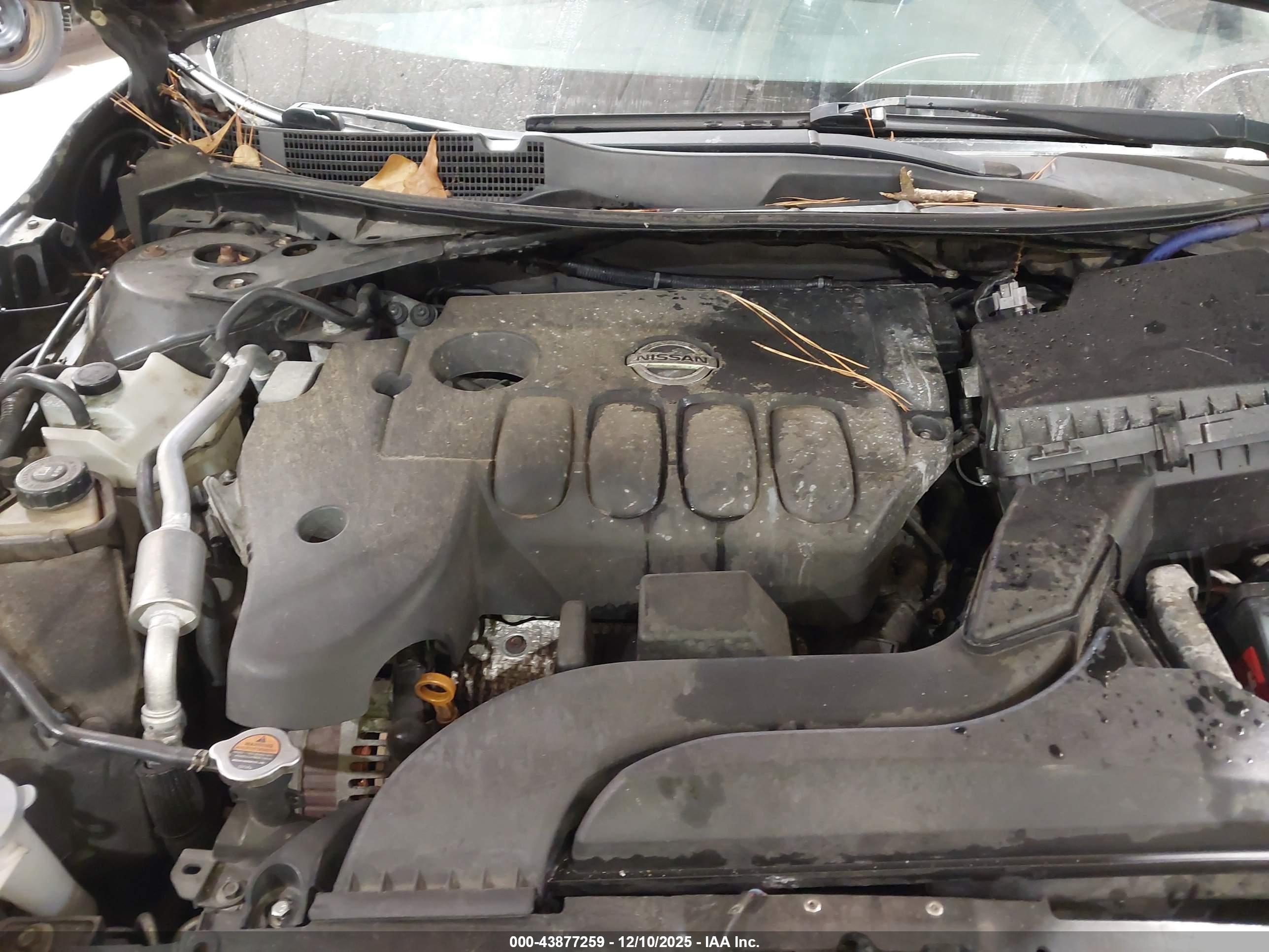 NISSAN ALTIMA image 10