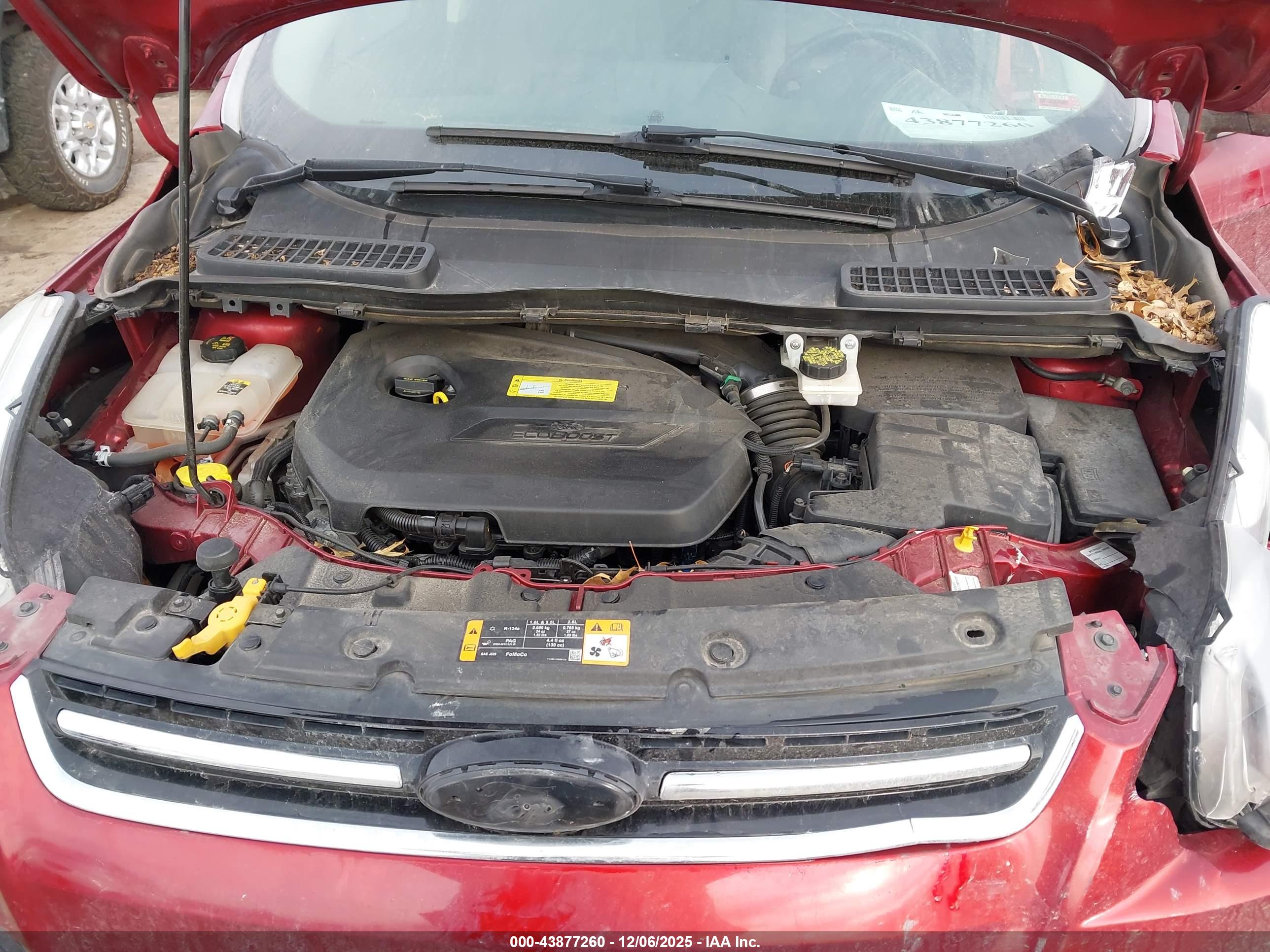 FORD ESCAPE image 10