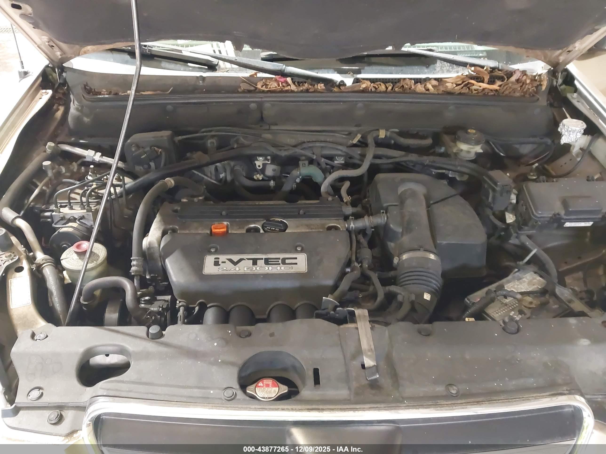 HONDA CR-V image 10