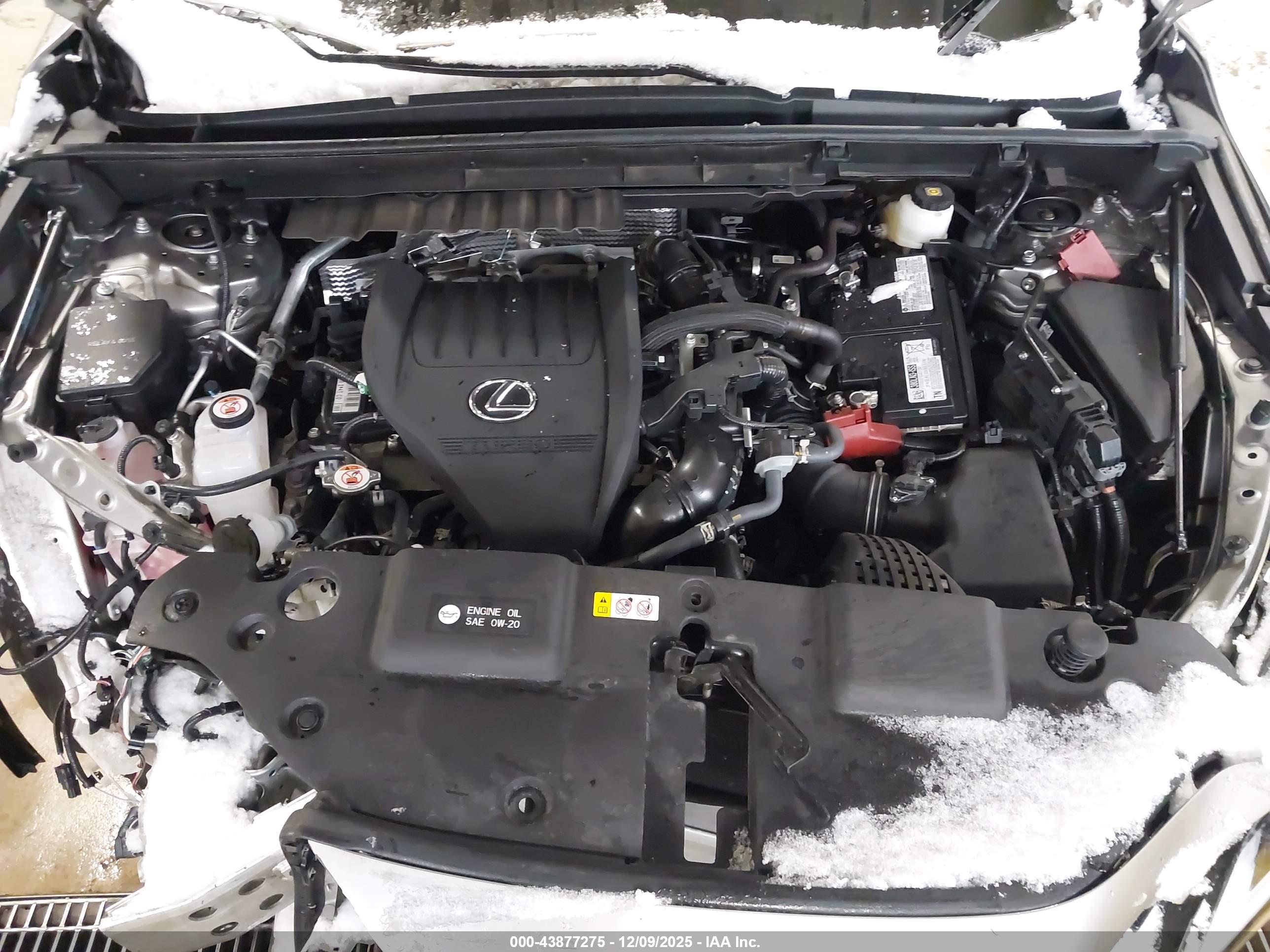 LEXUS NX image 10