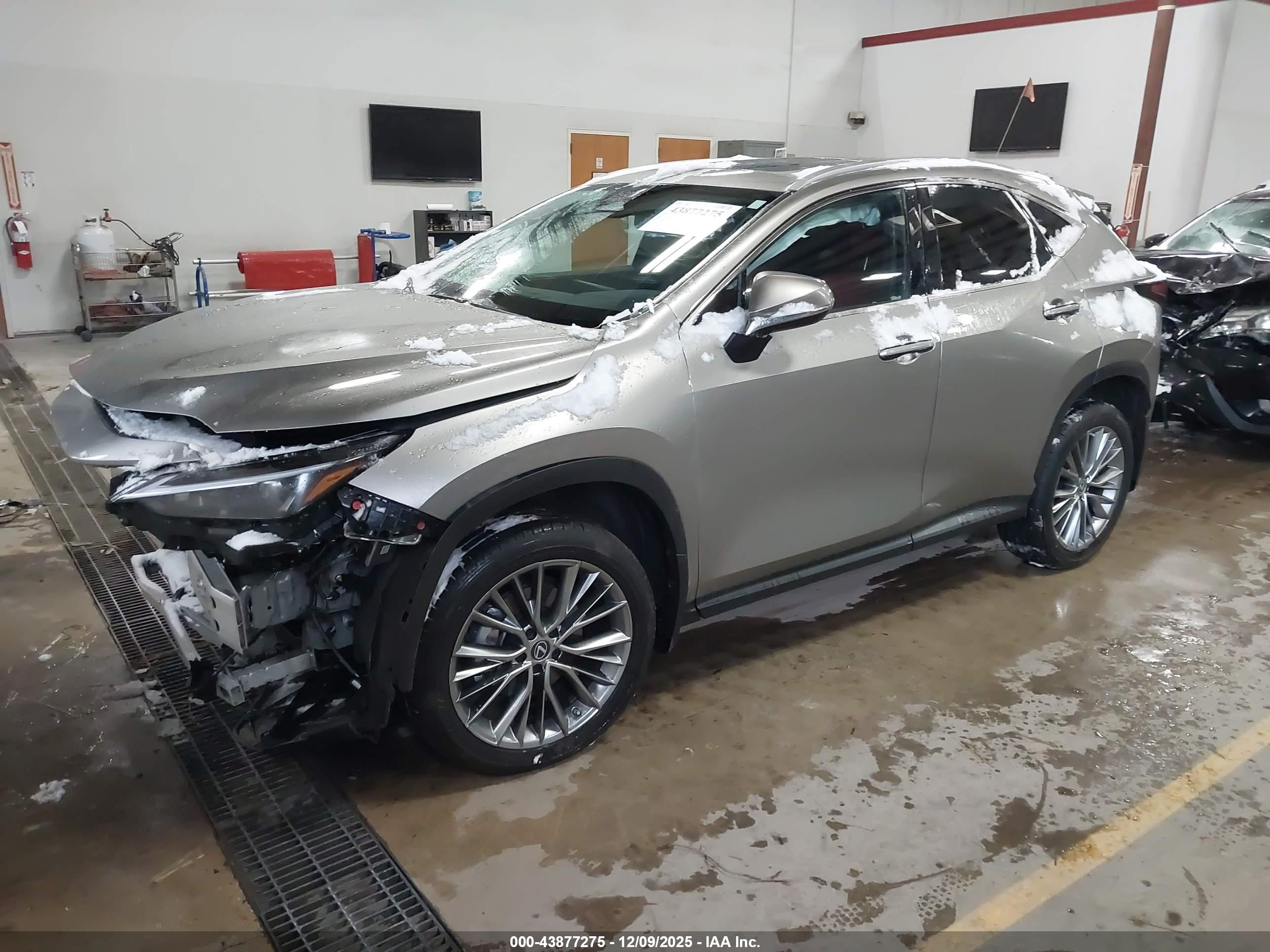 LEXUS NX image 2