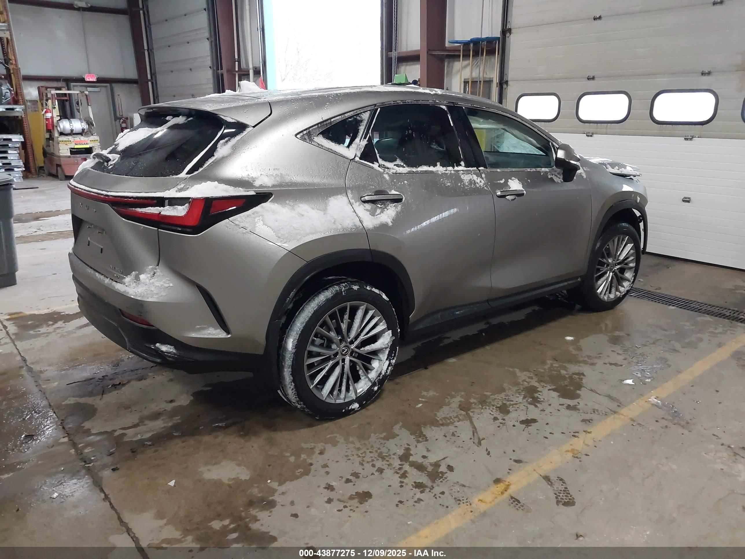 LEXUS NX image 4