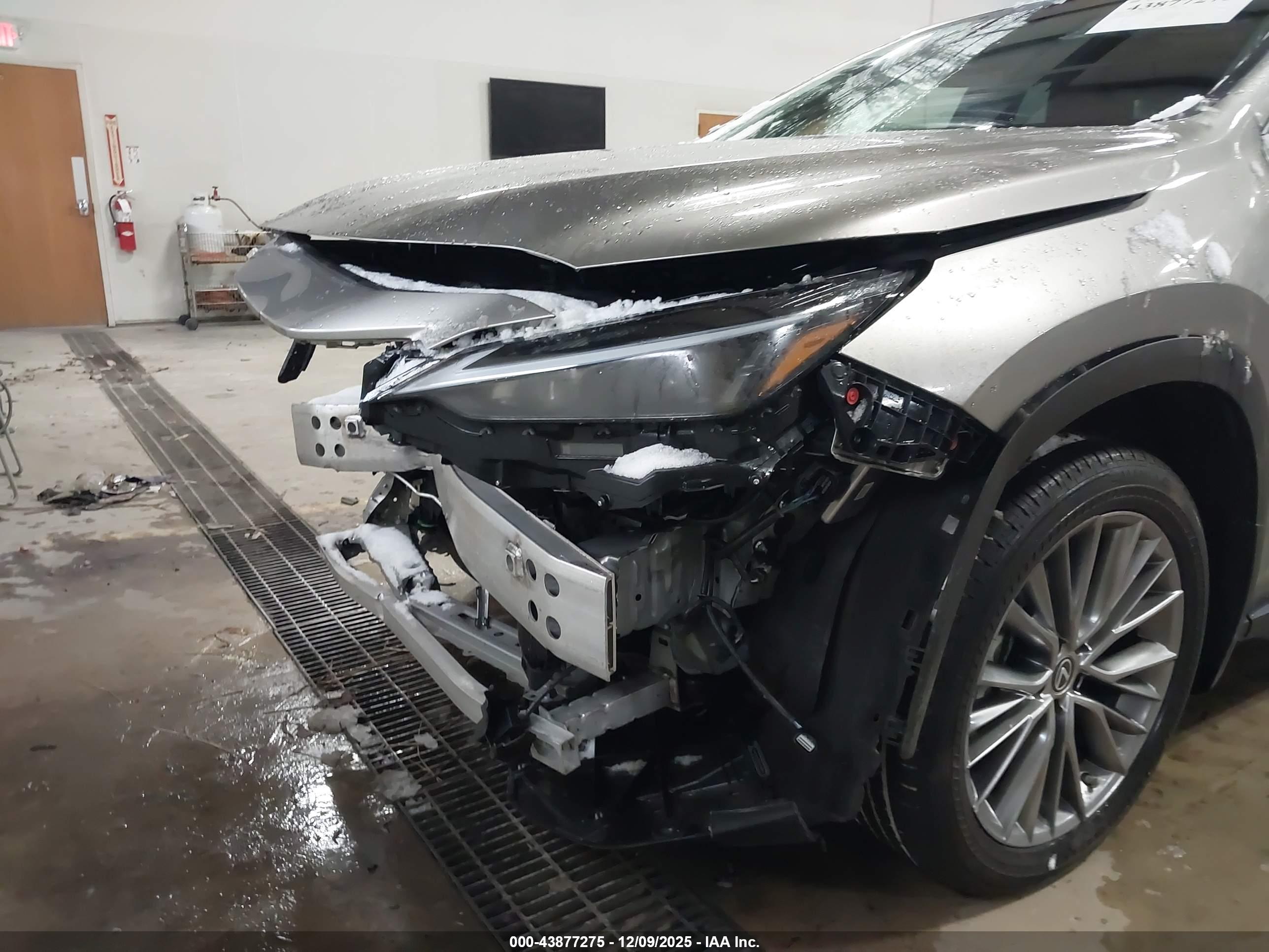 LEXUS NX image 6