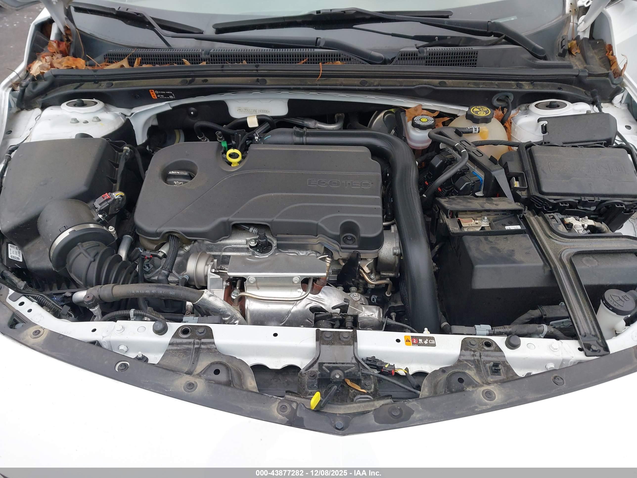 CHEVROLET MALIBU image 10