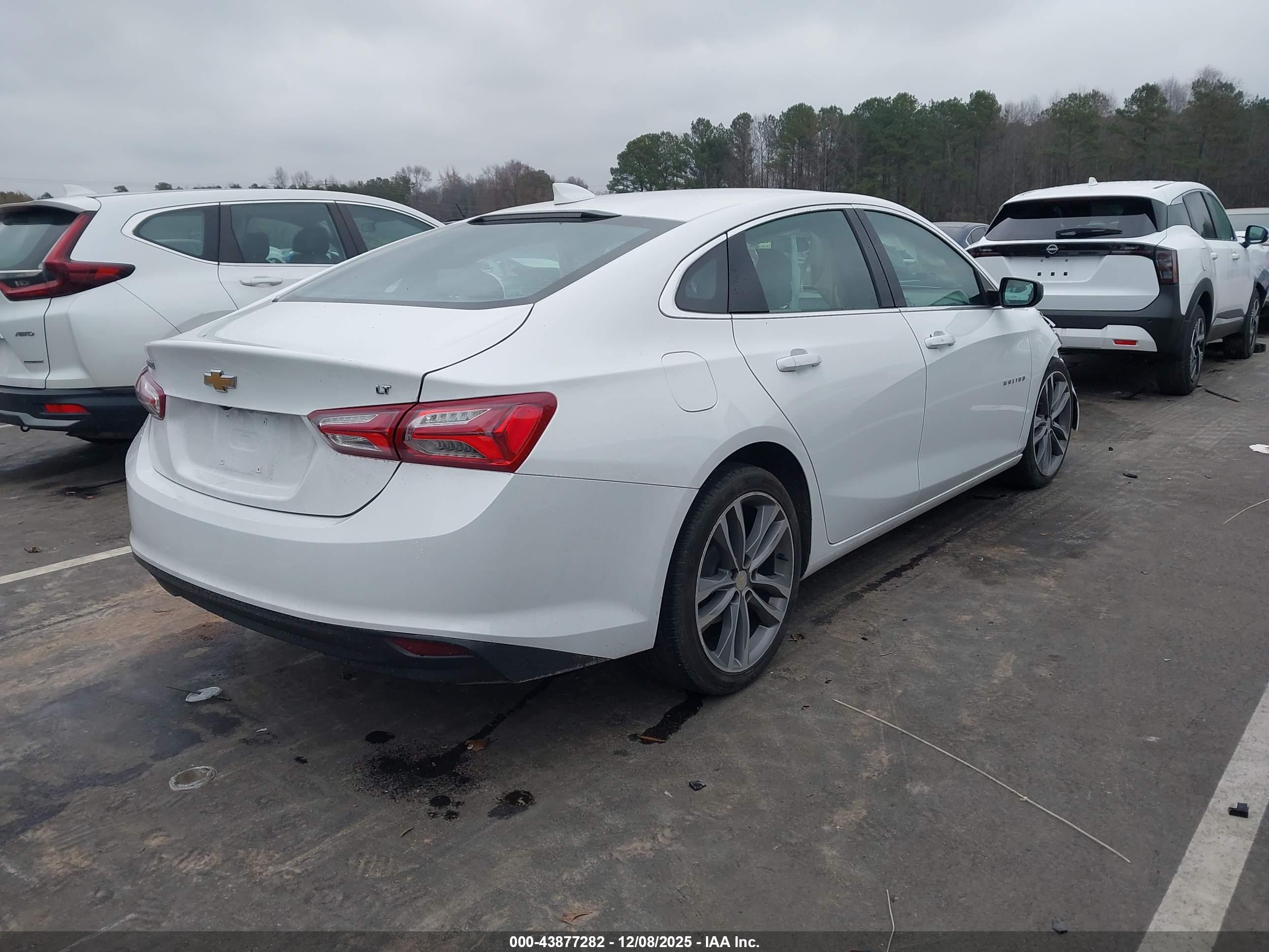 CHEVROLET MALIBU image 4
