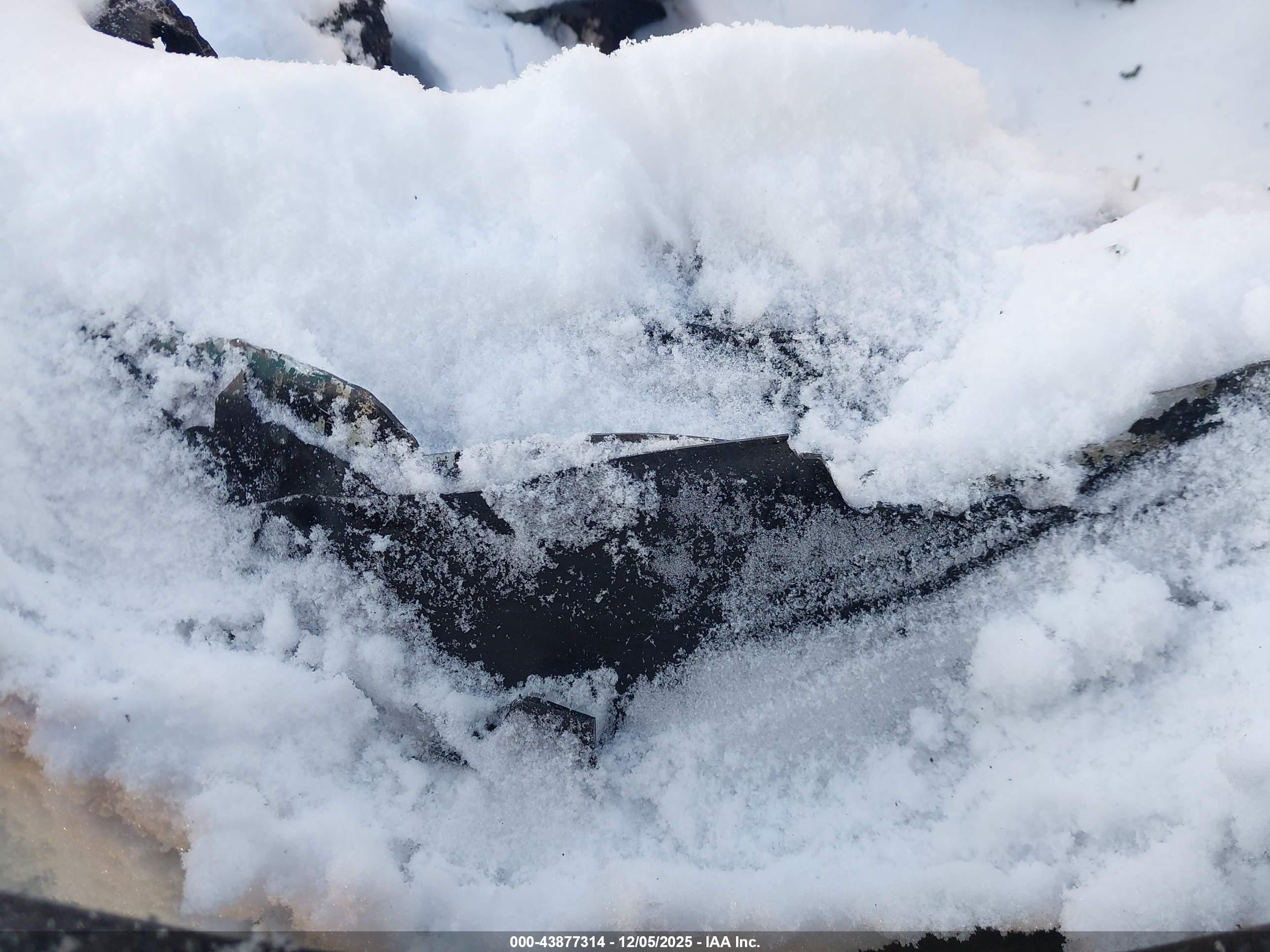 LAND ROVER image 9
