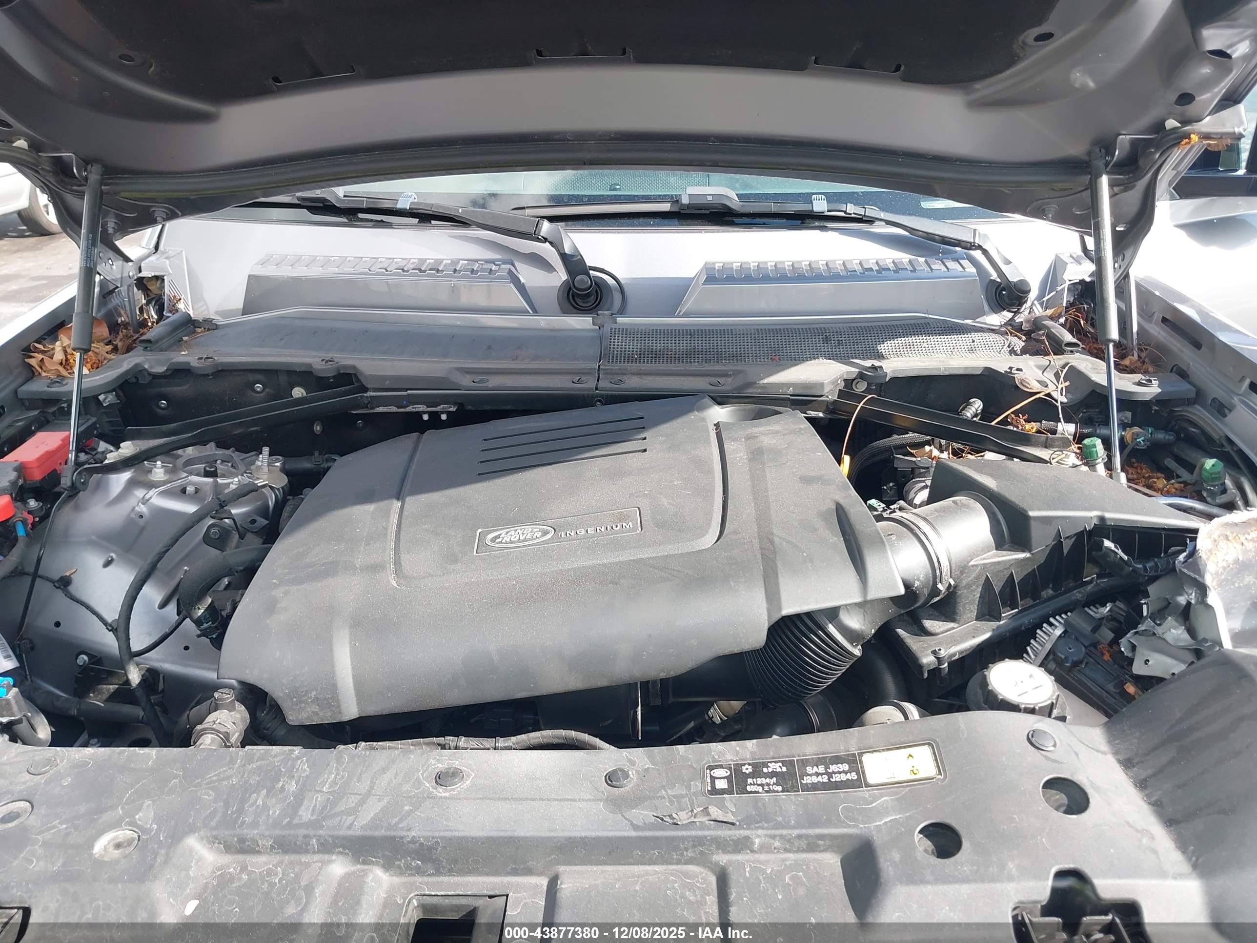 LAND ROVER image 10