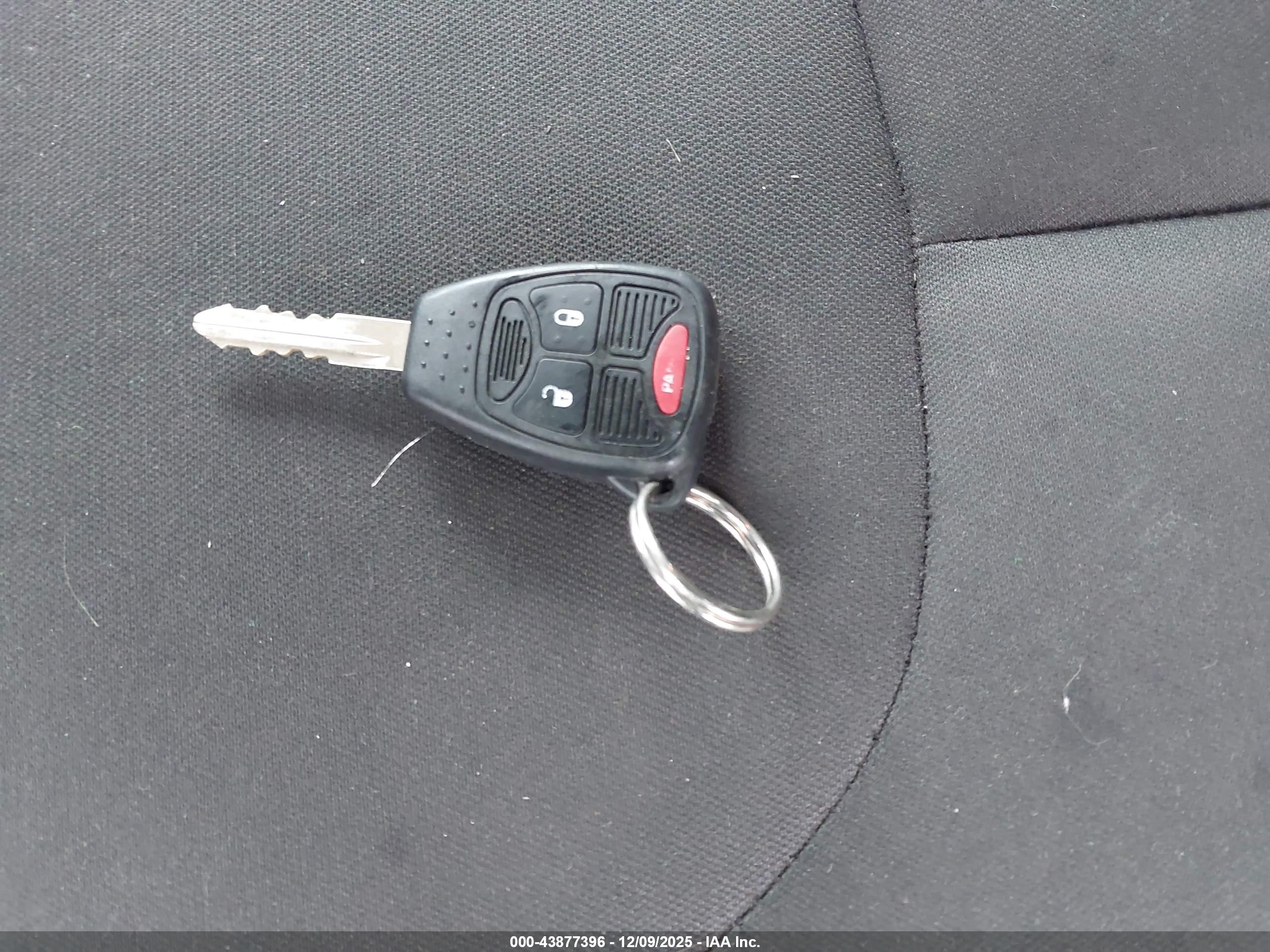 JEEP WRANGLER image 11